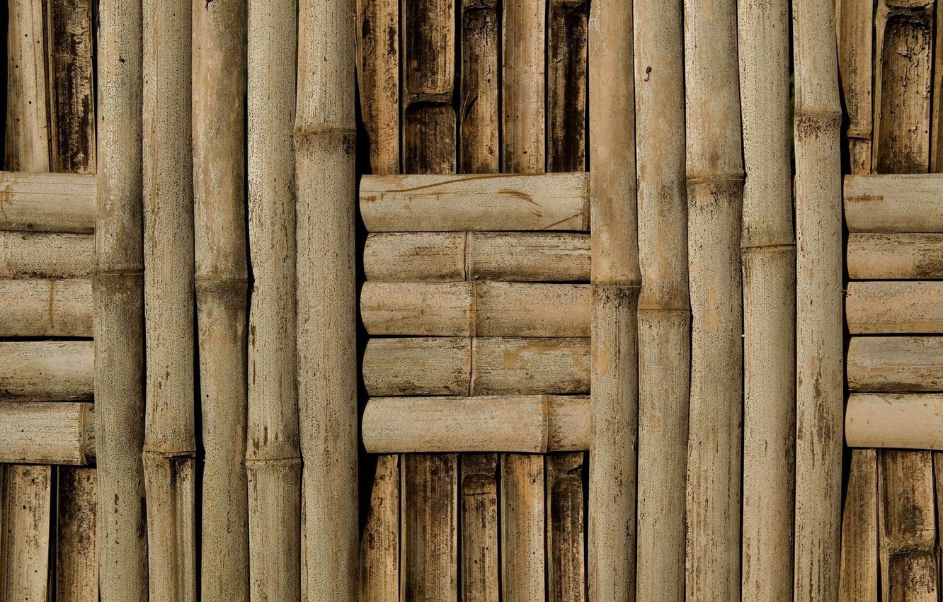 Bamboo Wallpapers