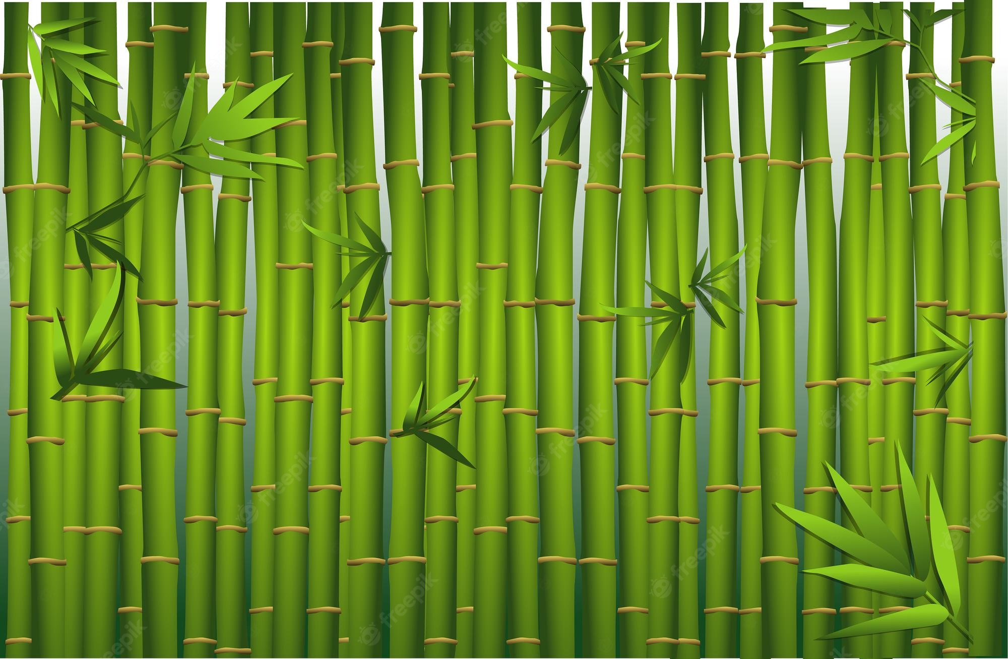 Bamboo Wallpapers