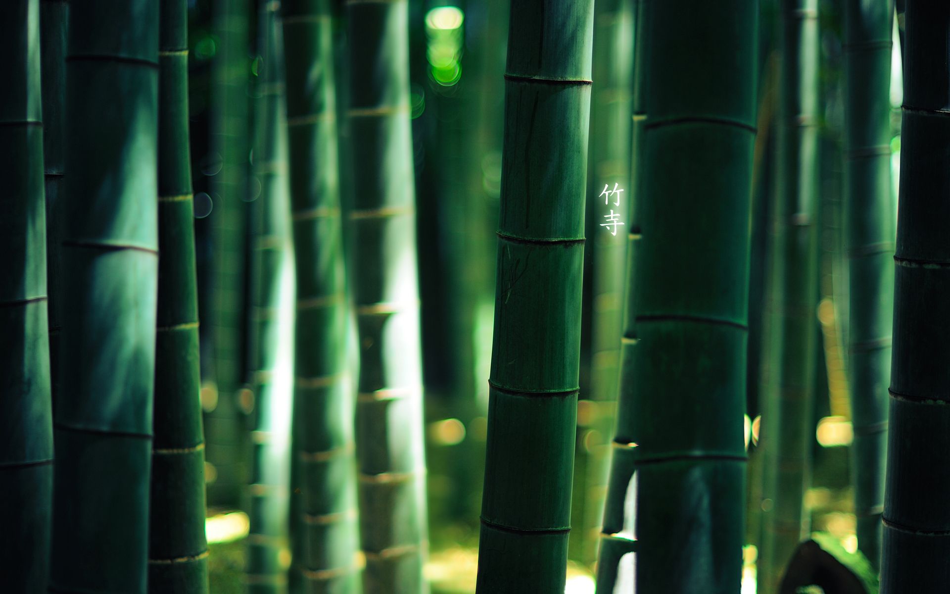 Bamboo Wallpapers