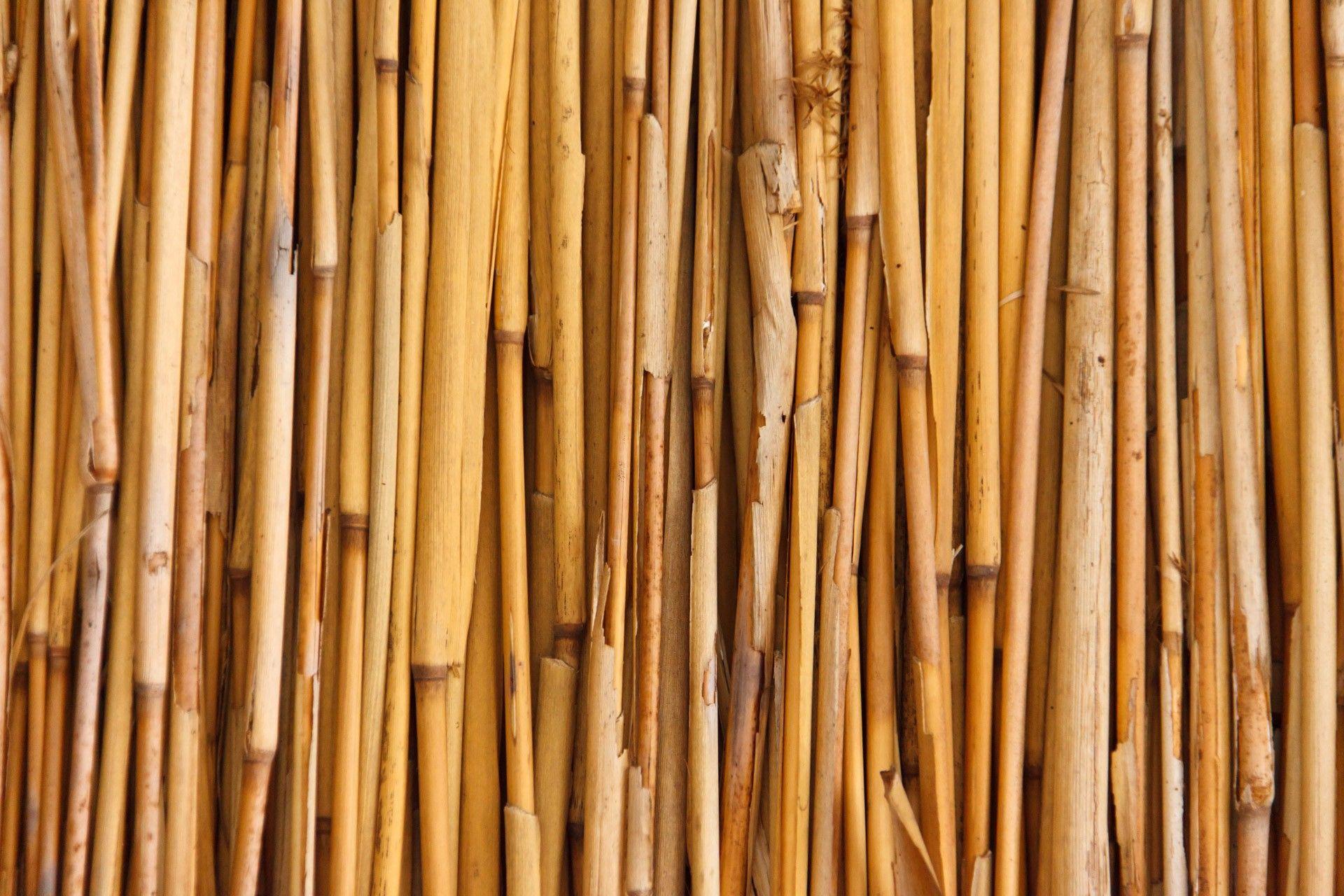 Bamboo Wallpapers