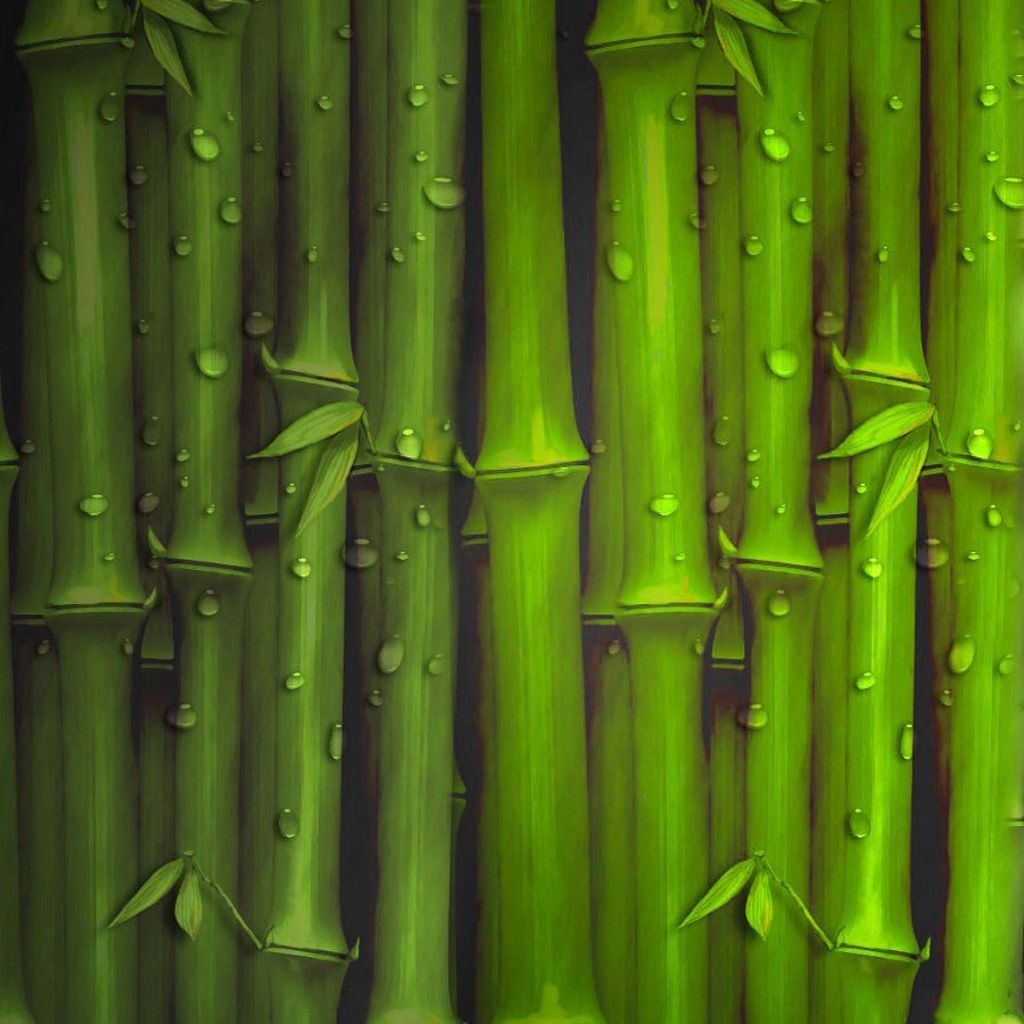 Bamboo Wallpapers