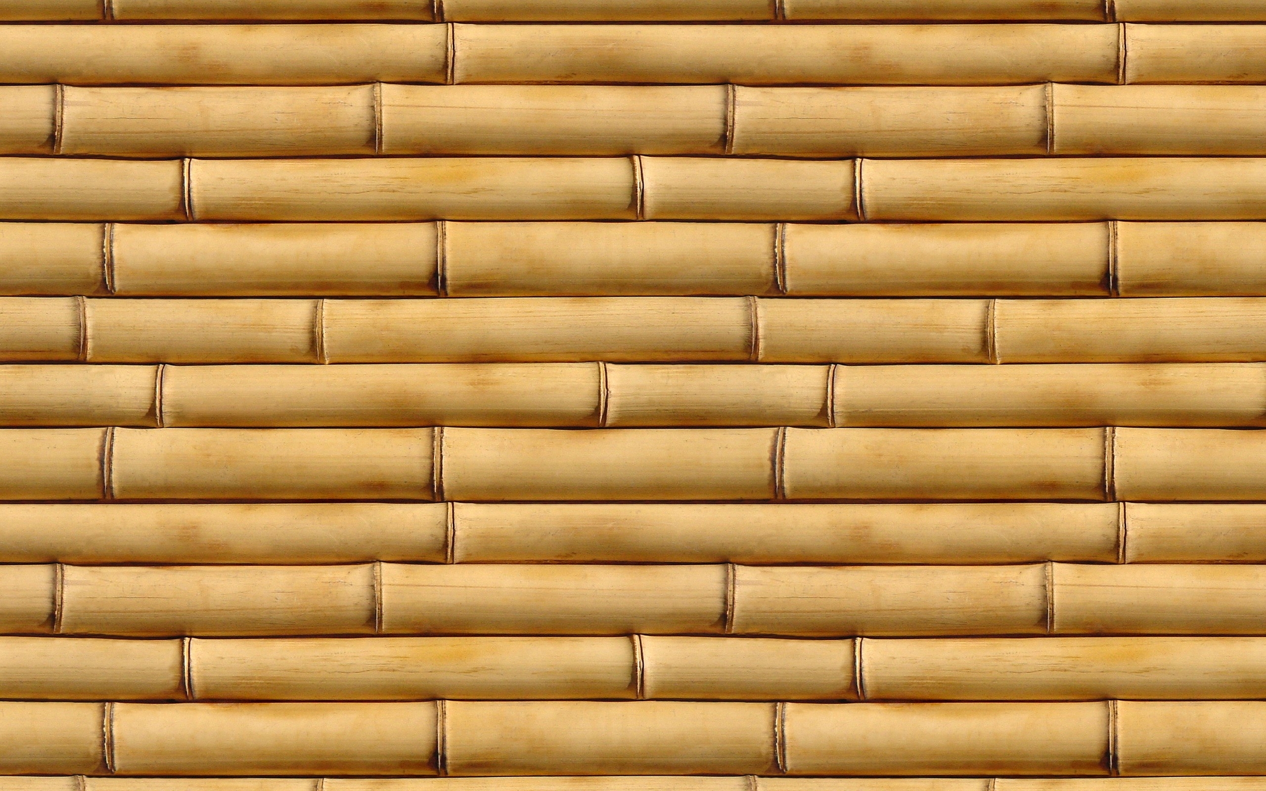 Bamboo Wallpapers