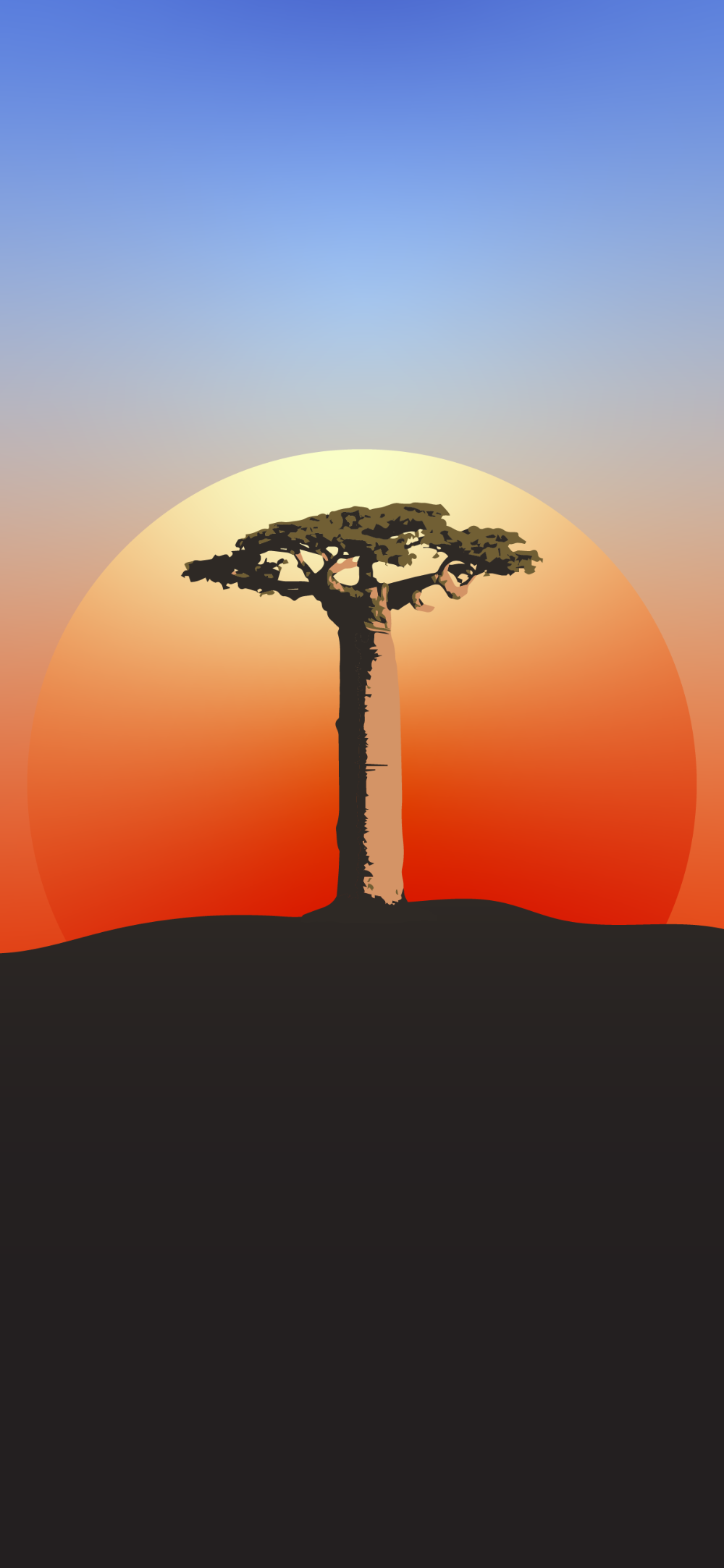 Baobab Tree Wallpapers