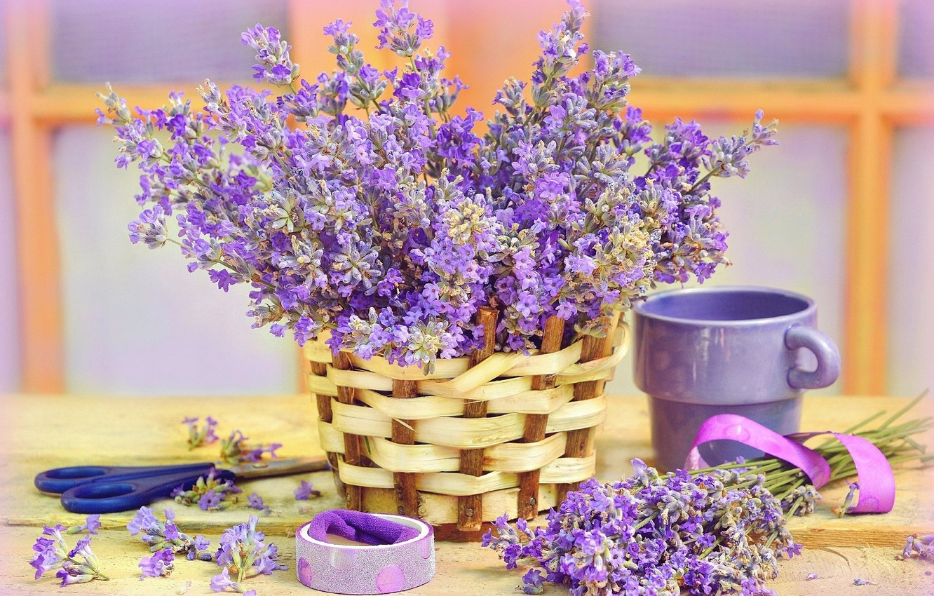 Basket Of Lavender Purple Flower Wallpapers