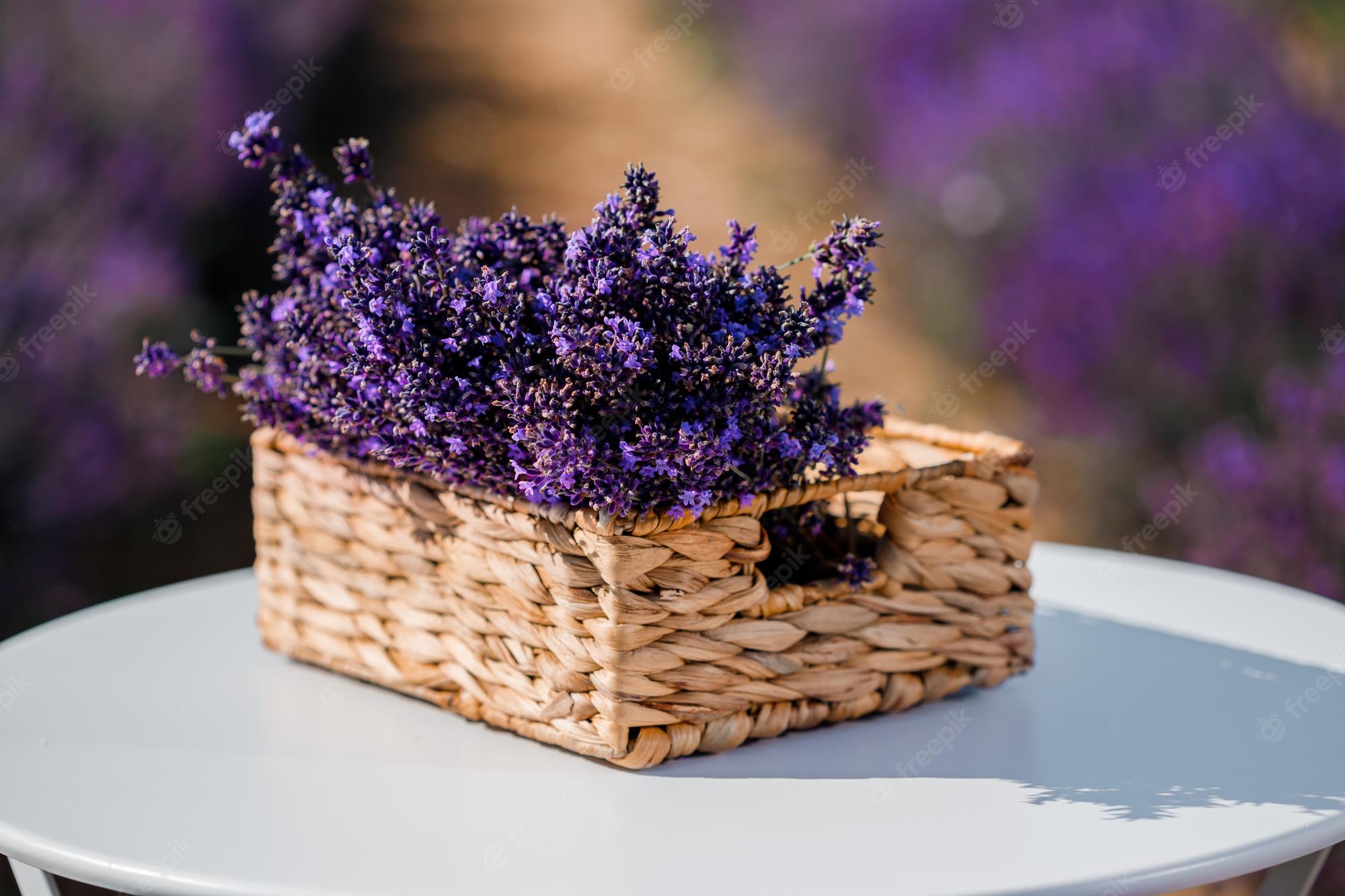 Basket Of Lavender Purple Flower Wallpapers