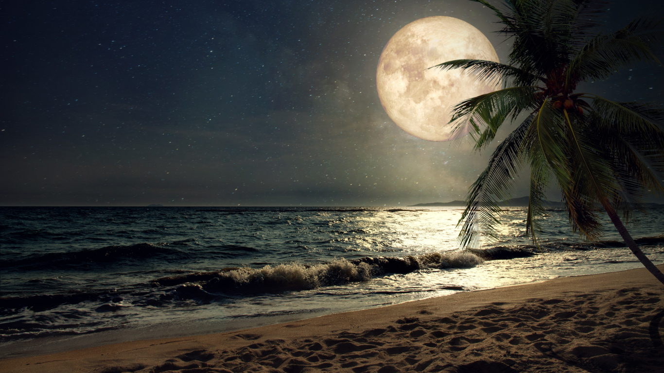 Beach At Night Wallpapers