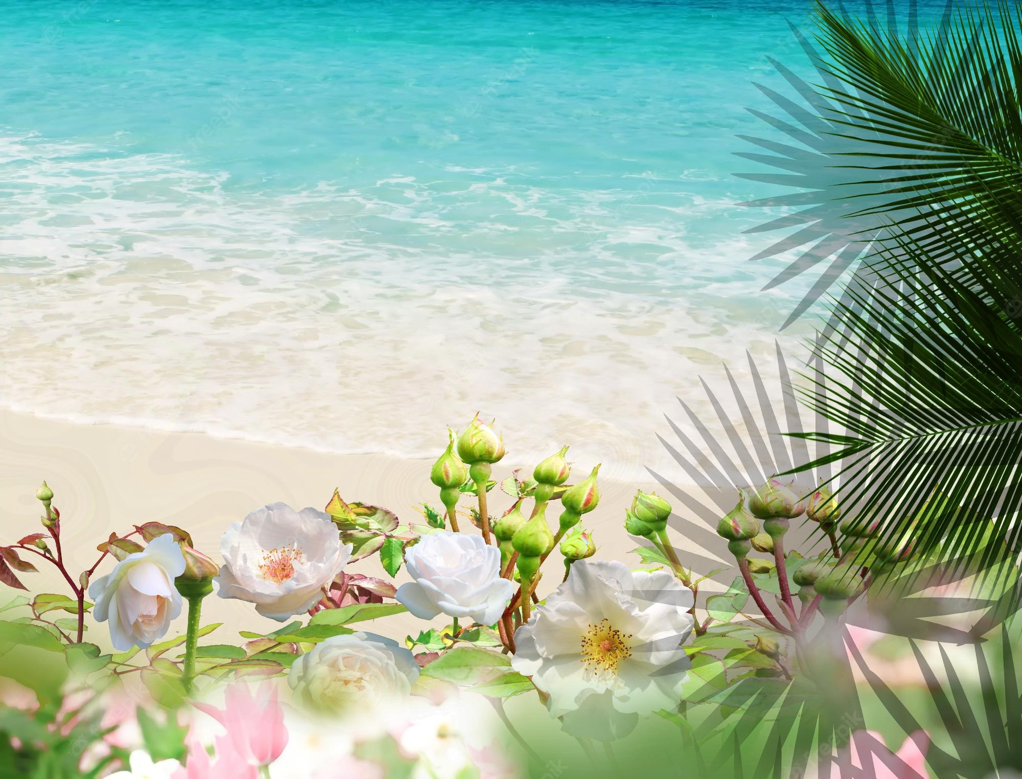 Beach Flower Wallpapers