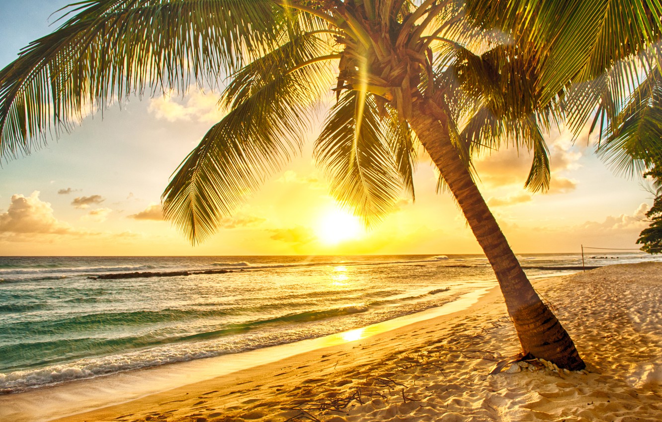 Beach Paradise Sunset Wallpapers