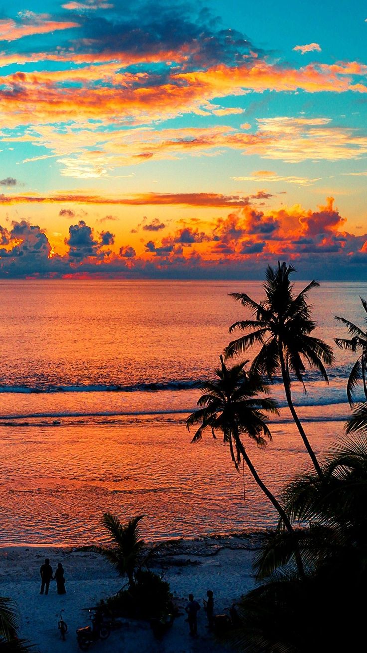 Beach Paradise Sunset Wallpapers