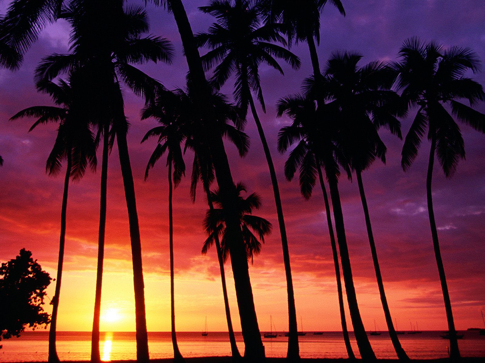 Beach Paradise Sunset Wallpapers