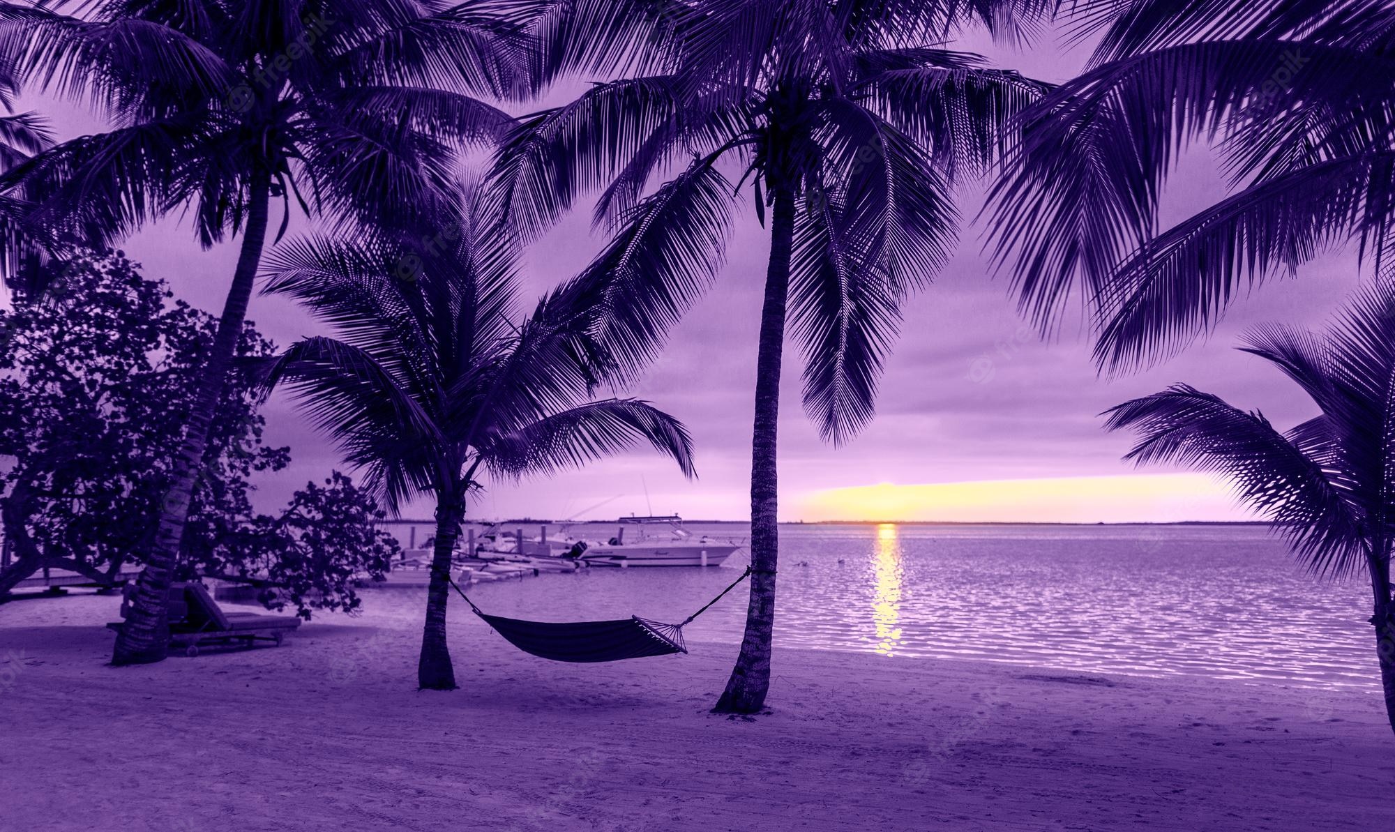 Beach Sunset Purple Wallpapers