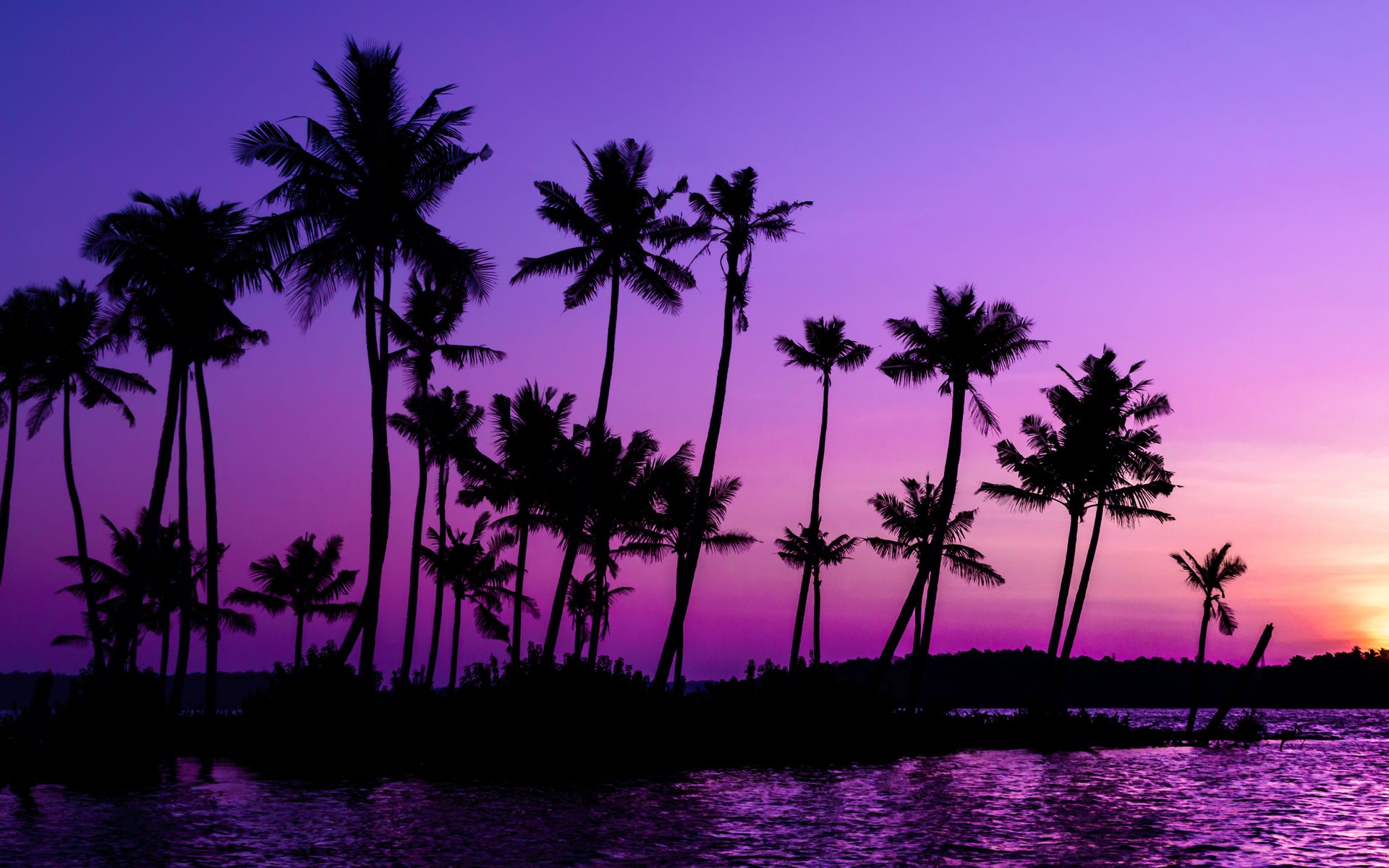 Beach Sunset Purple Wallpapers