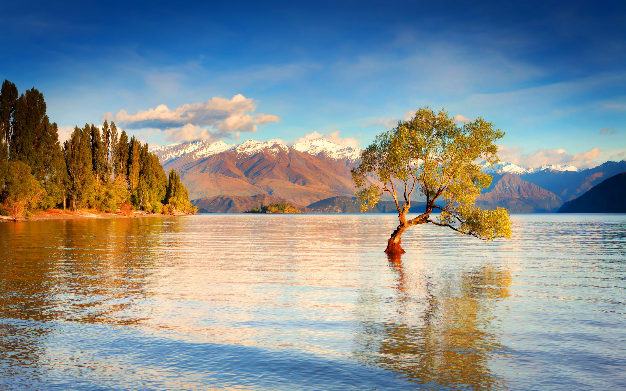 Beautiful Lake New Zealand Wallpapers