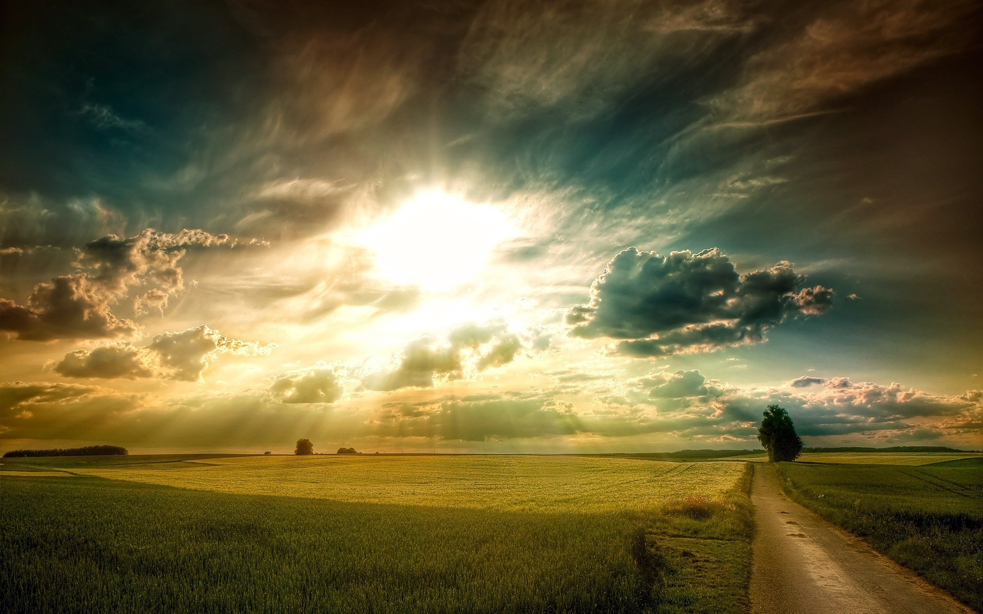 Beautiful Yellow Grass Field With Sunrays Landscape View Wallpapers