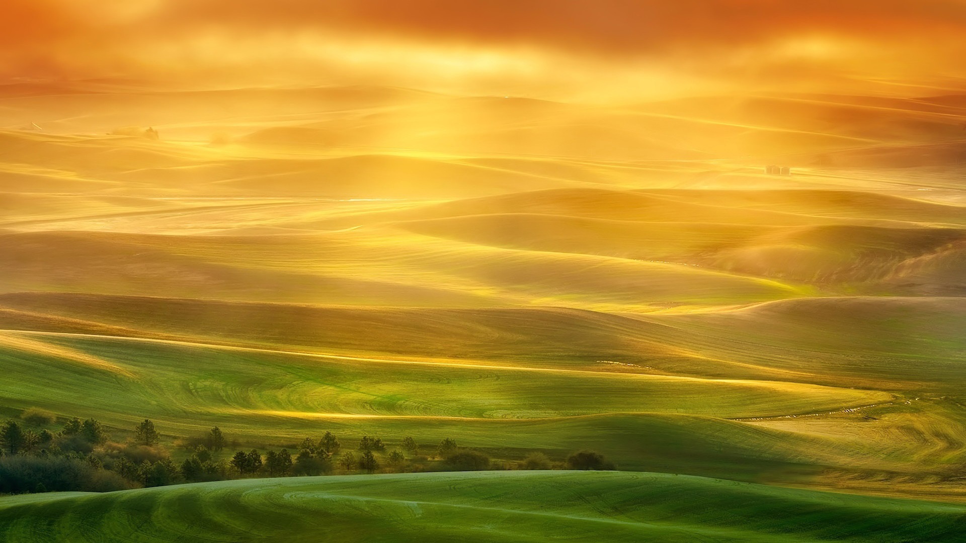 Beautiful Yellow Grass Field With Sunrays Landscape View Wallpapers