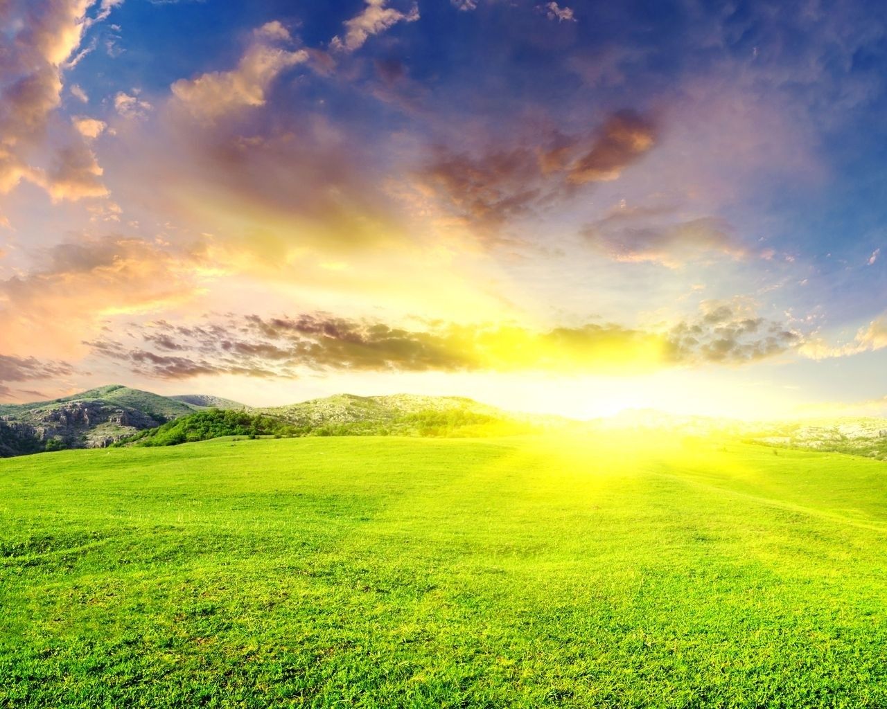 Beautiful Yellow Grass Field With Sunrays Landscape View Wallpapers