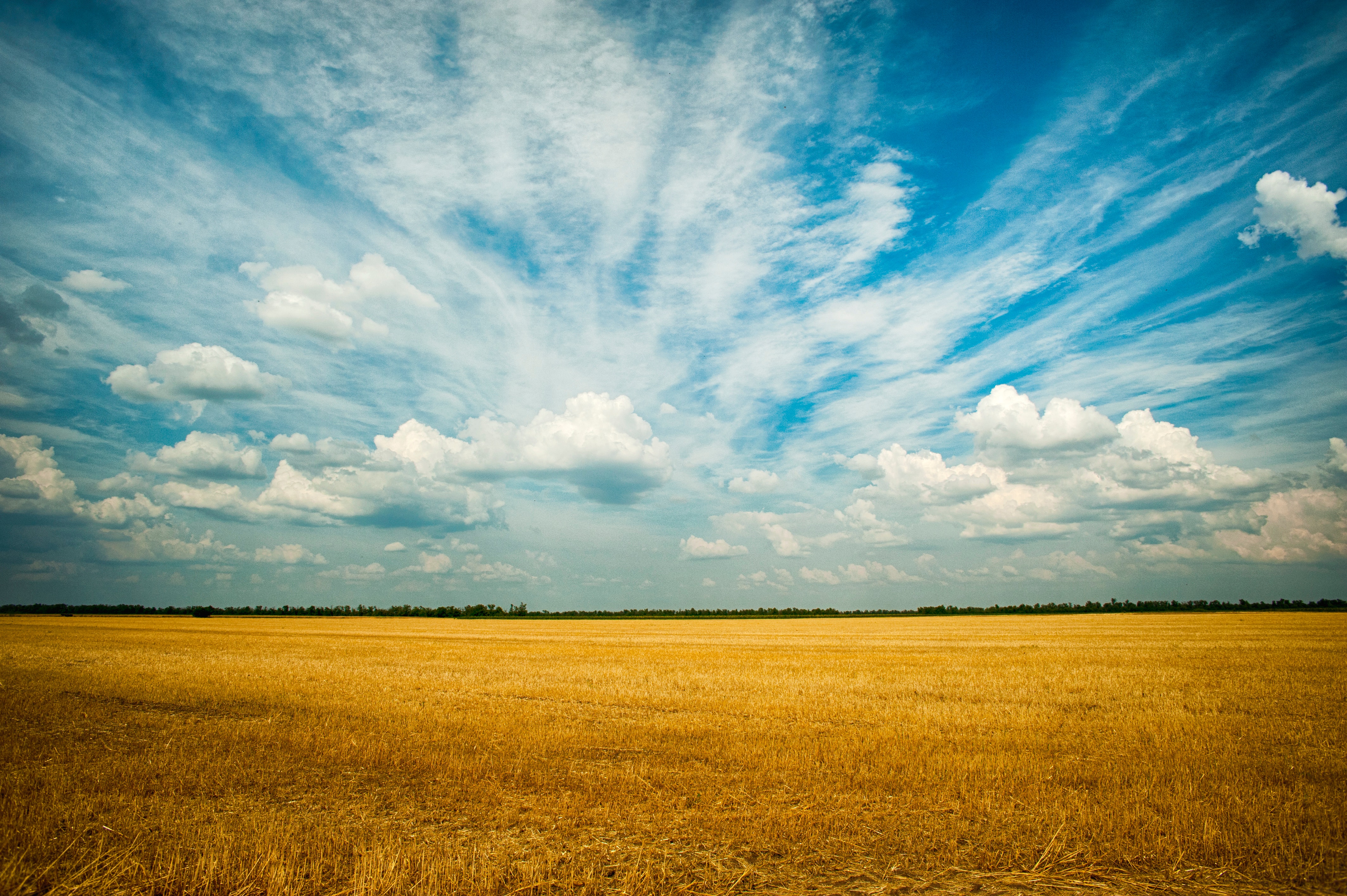 Beautiful Yellow Grass Field With Sunrays Landscape View Wallpapers