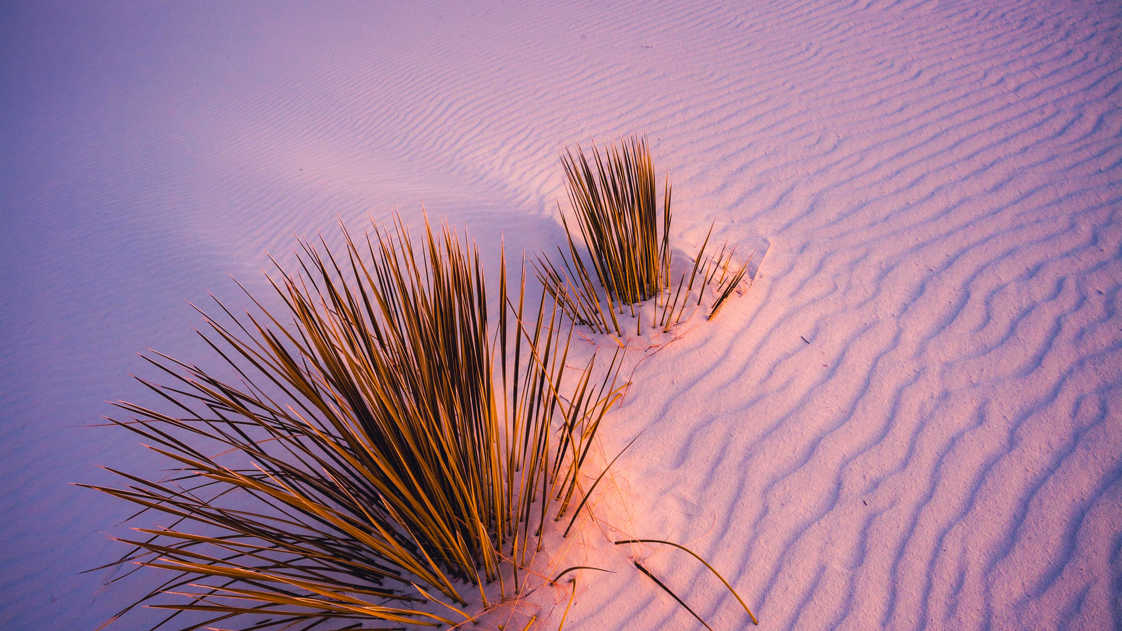 Black Dune 4K Wallpapers