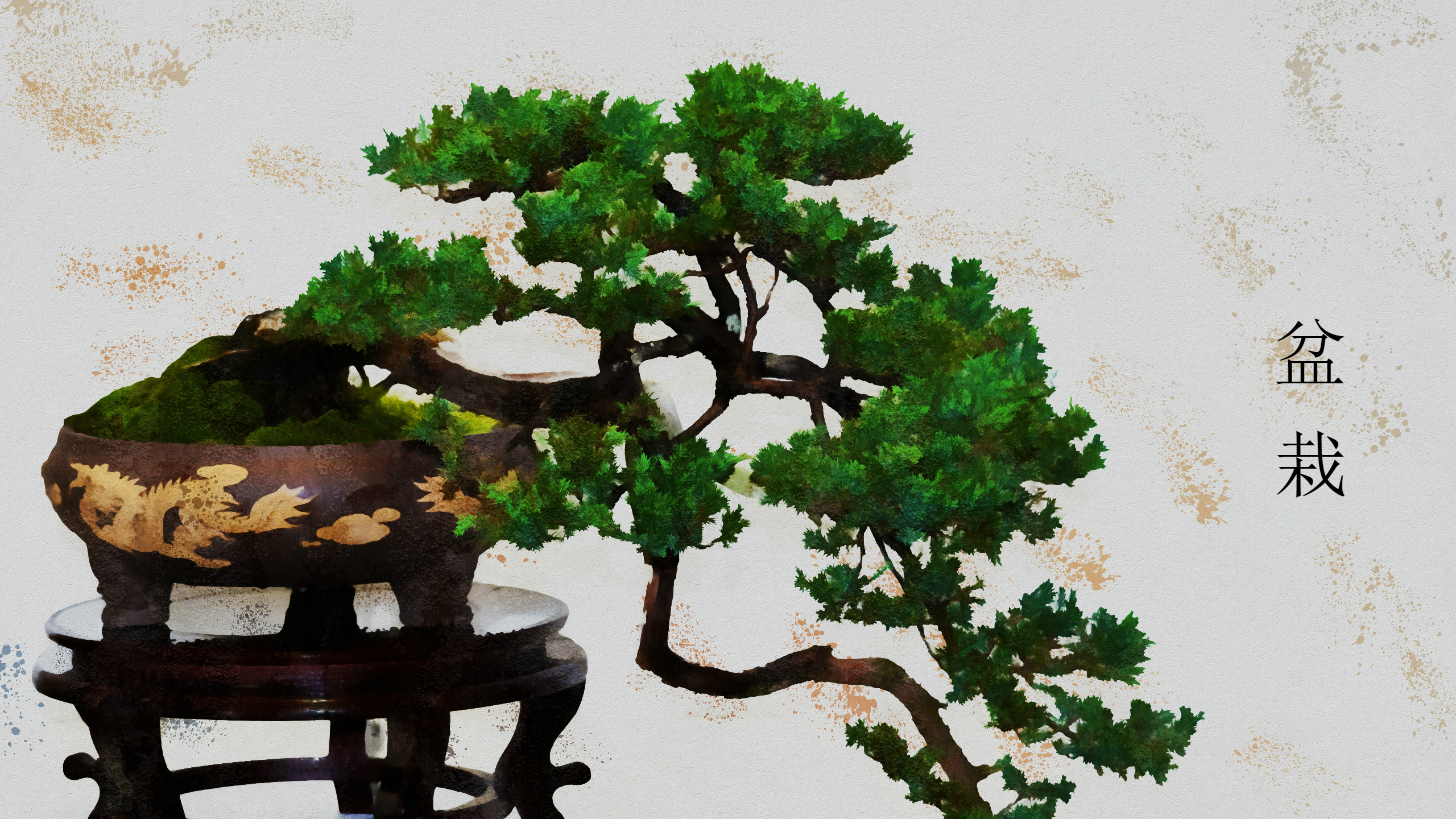 Bonsai Tree Wallpapers