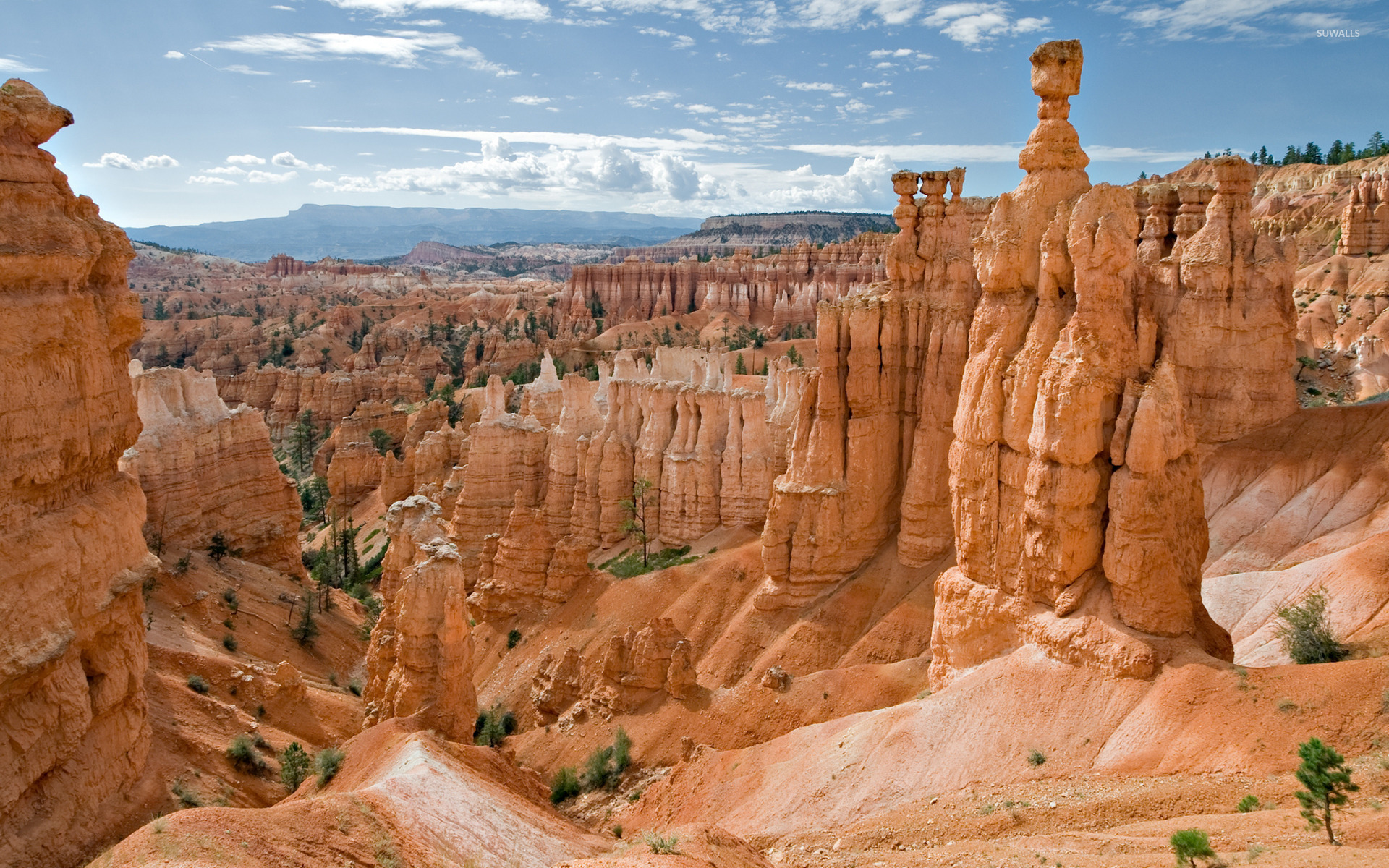 Bryce Canyon National Park Wallpapers