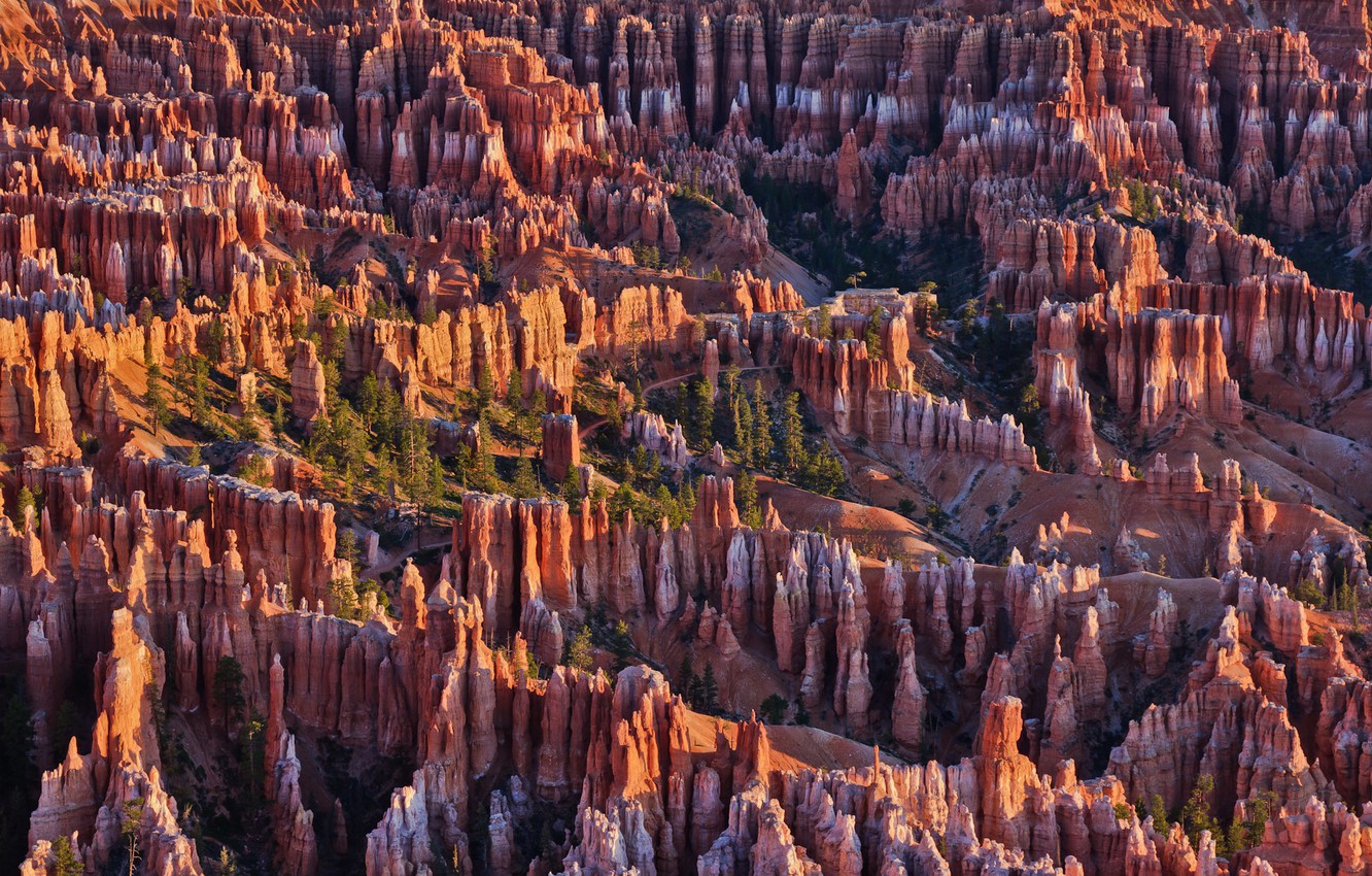 Bryce Canyon National Park Wallpapers