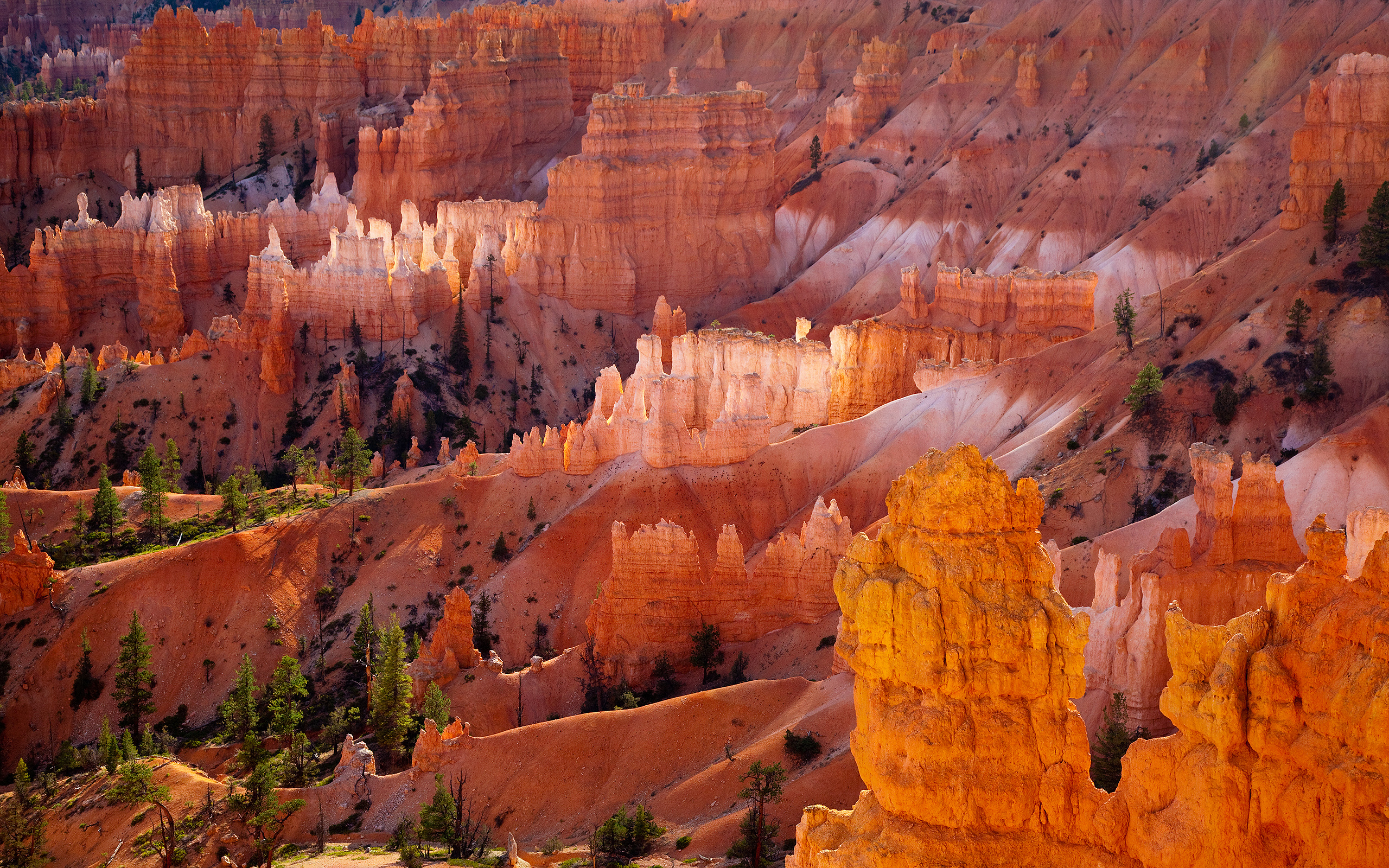 Bryce Canyon National Park Wallpapers