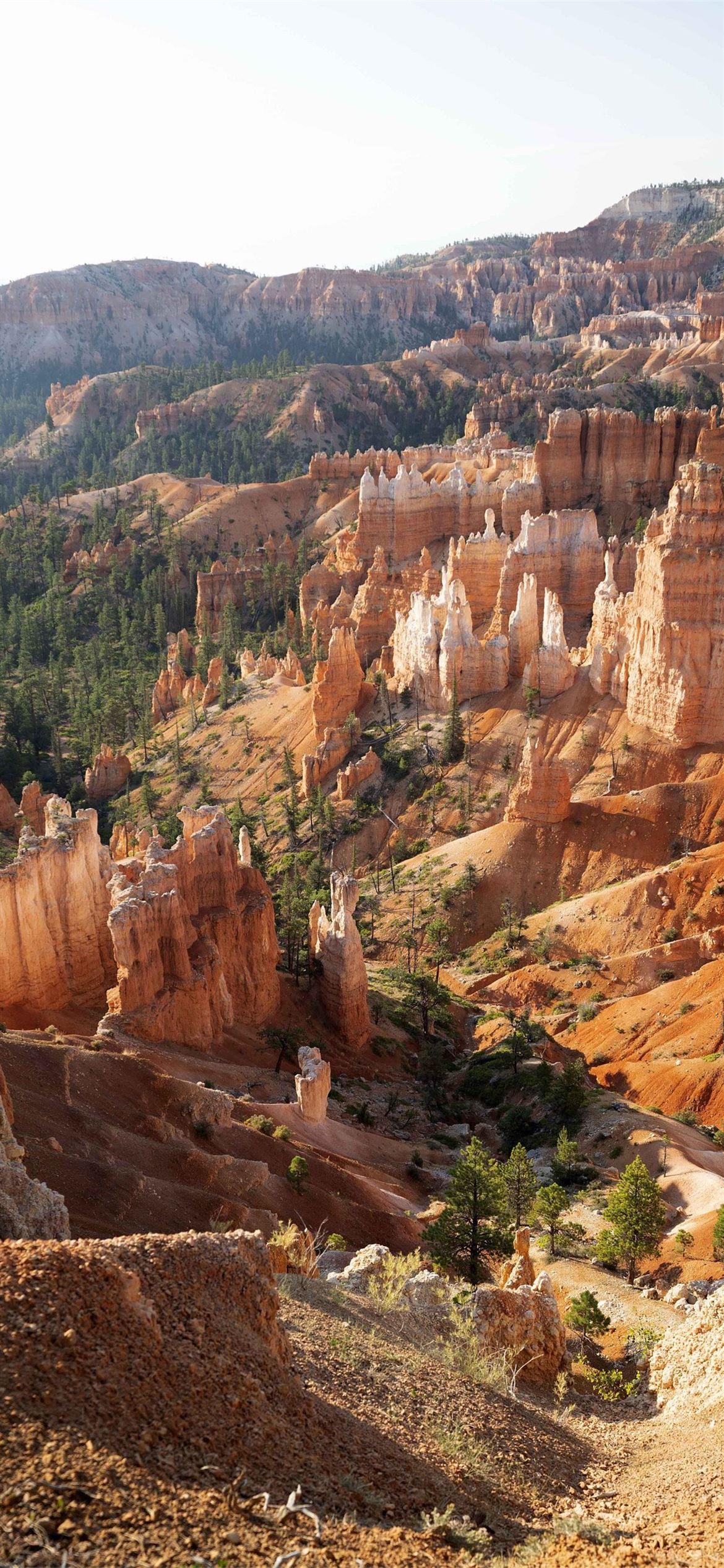 Capitol Reef National Park Wallpapers