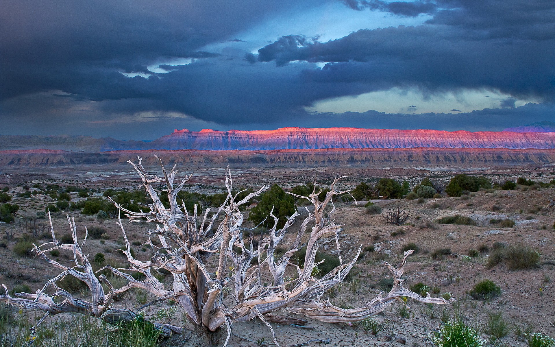 Capitol Reef National Park Wallpapers