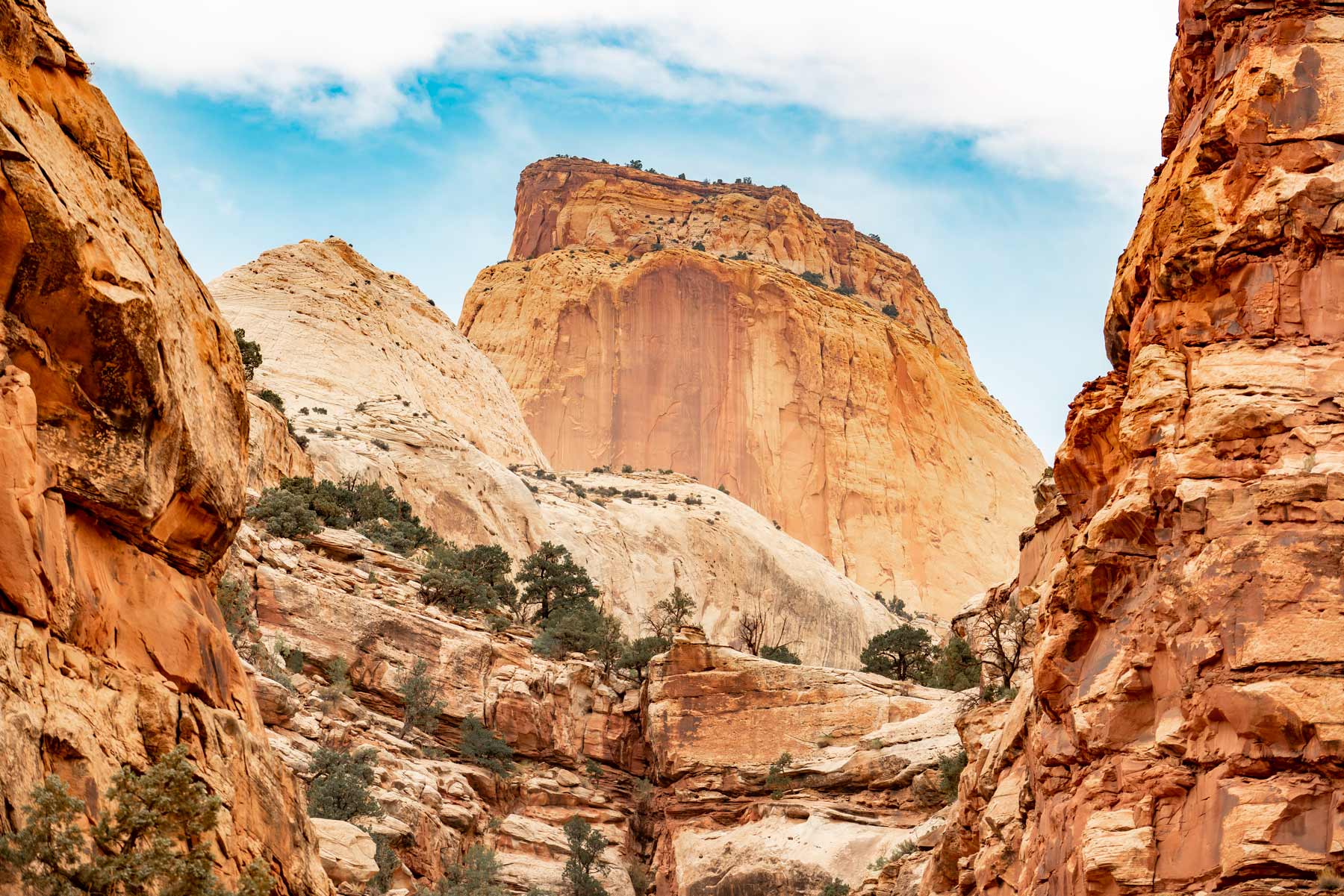 Capitol Reef National Park Wallpapers