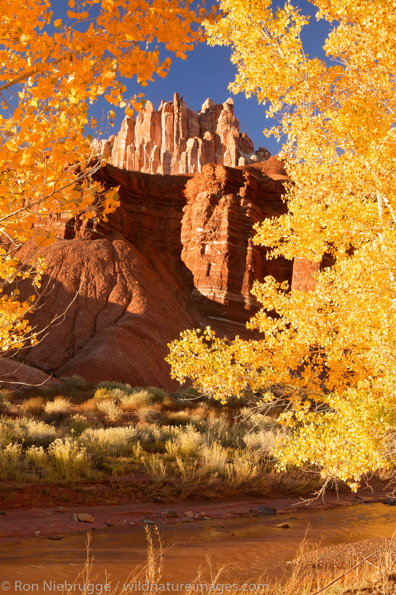 Capitol Reef National Park Wallpapers