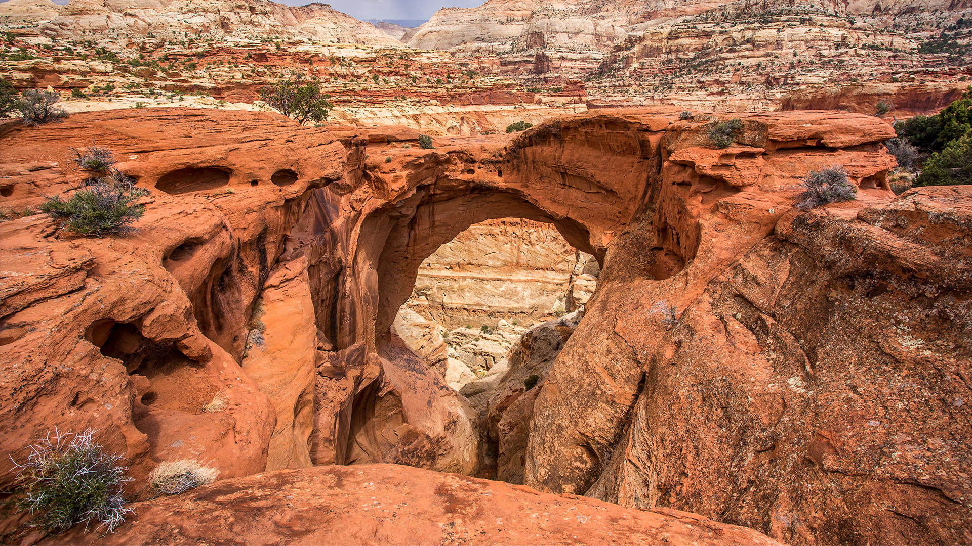 Capitol Reef National Park Wallpapers