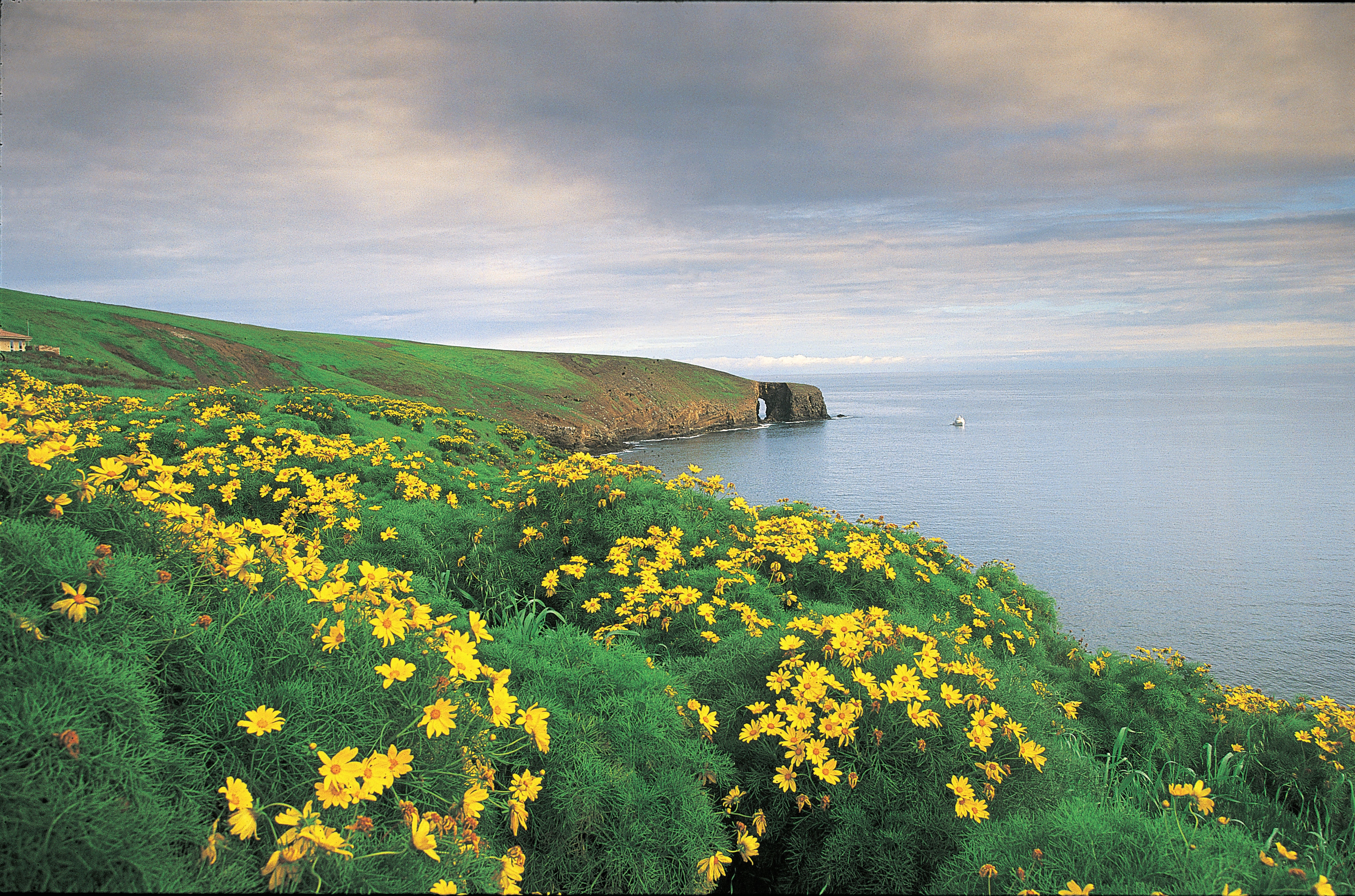 Channel Islands National Park Wallpapers