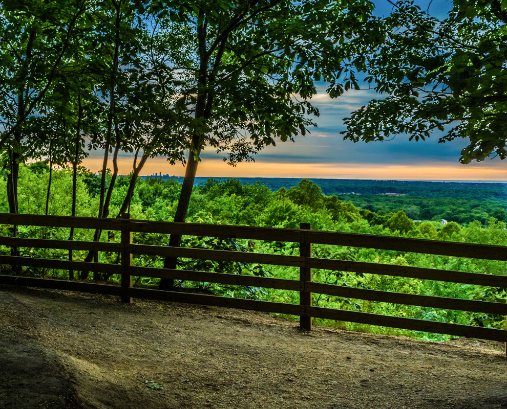 Chapin Forest Reservation Evening Wallpapers