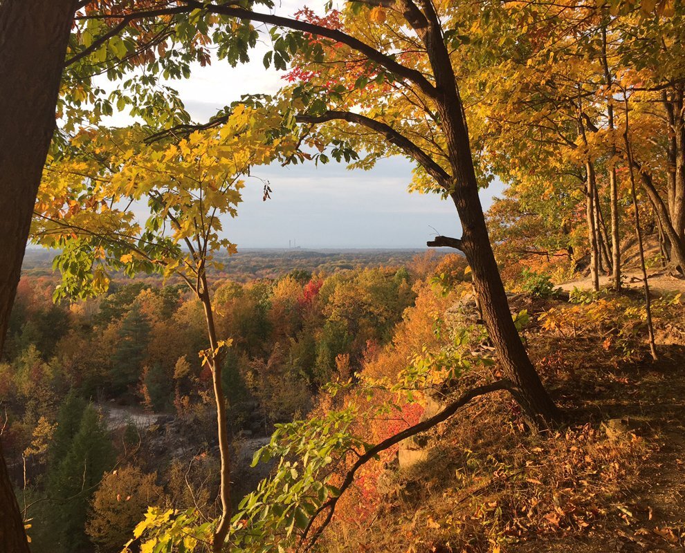 Chapin Forest Reservation Evening Wallpapers