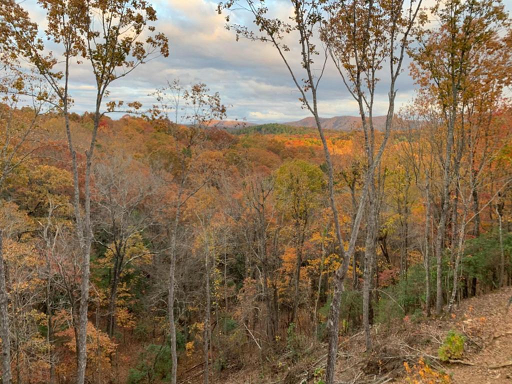 Chapin Forest Reservation Evening Wallpapers