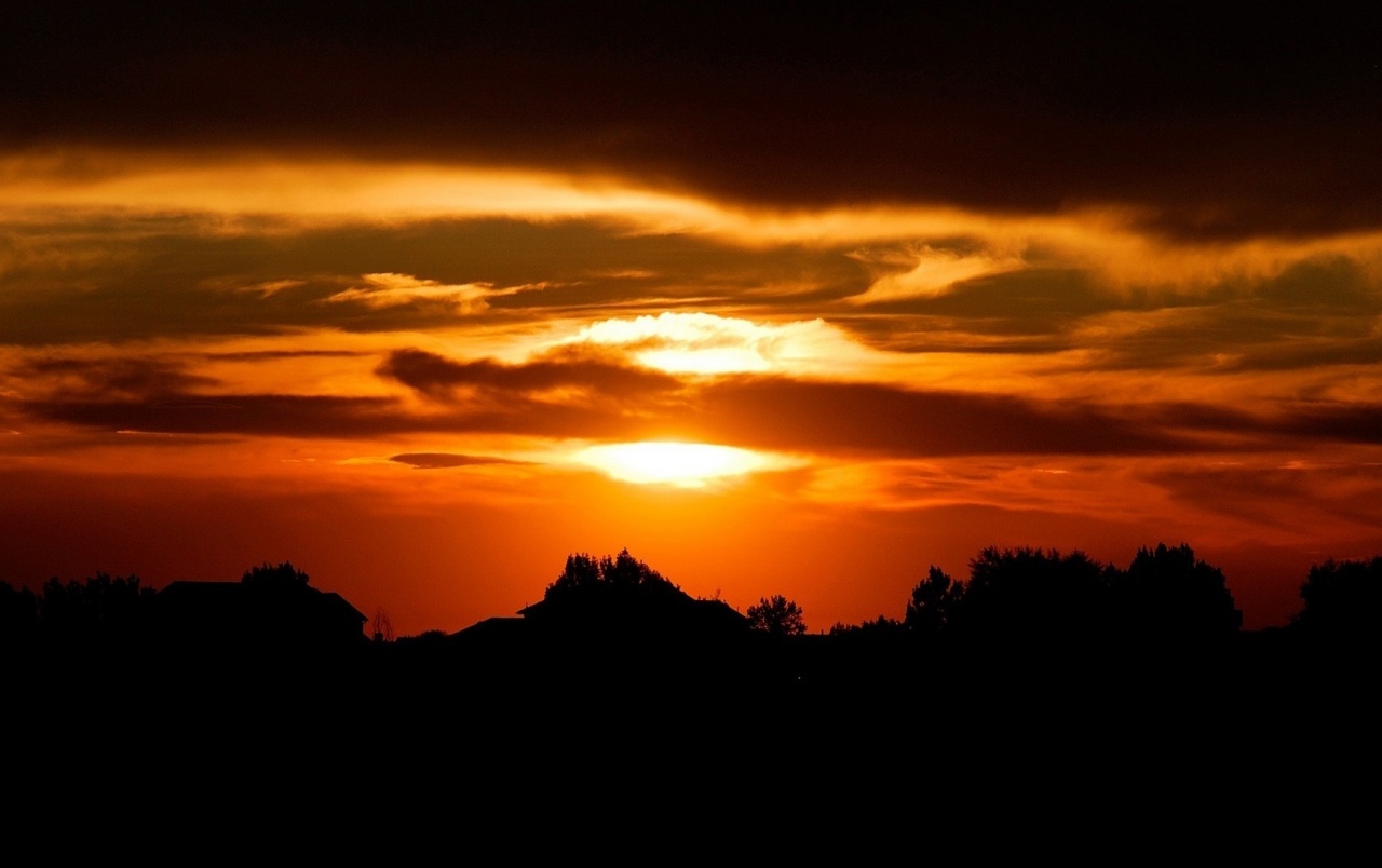 Cloudy Orange Sunset In Forest Wallpapers