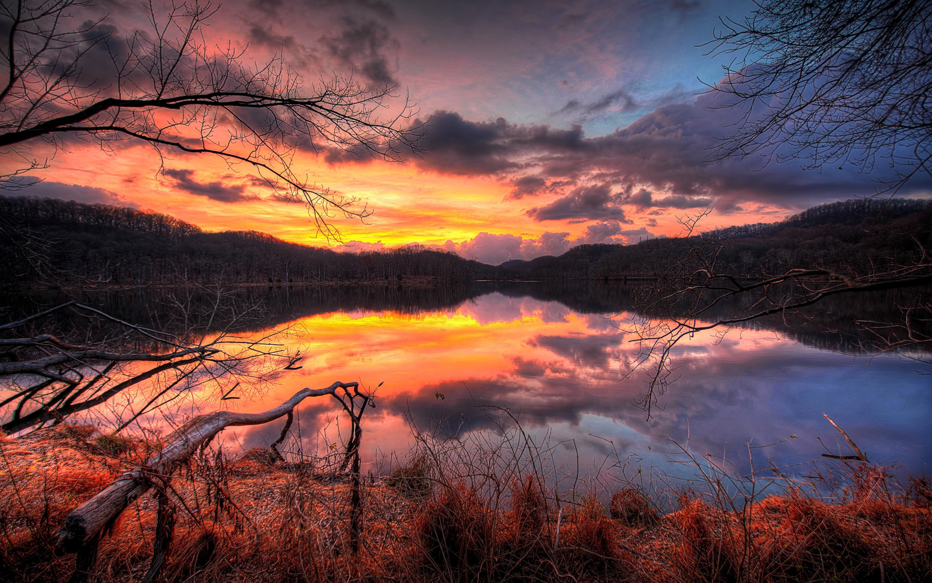 Cloudy Orange Sunset In Forest Wallpapers