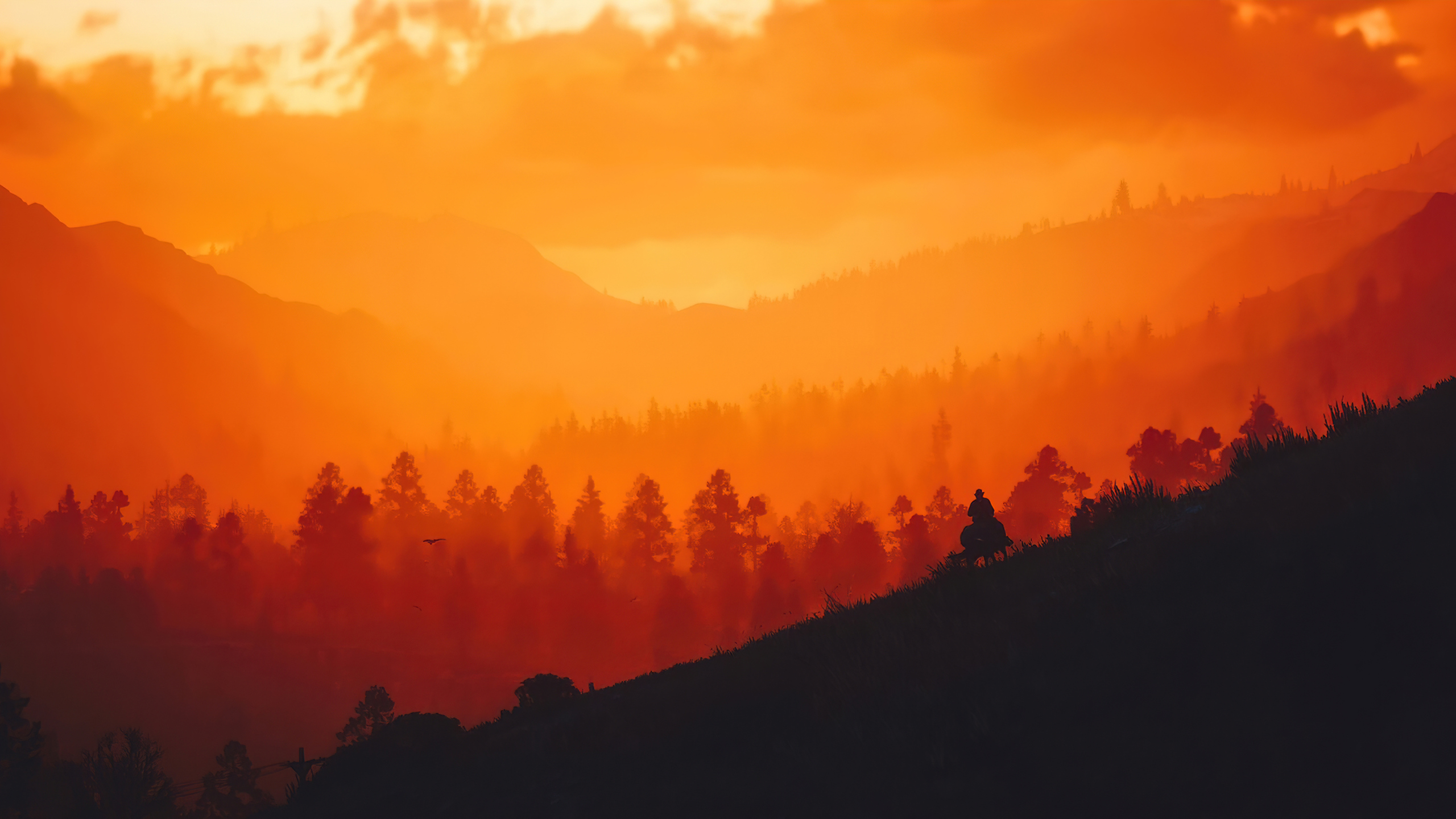 Cloudy Orange Sunset In Forest Wallpapers