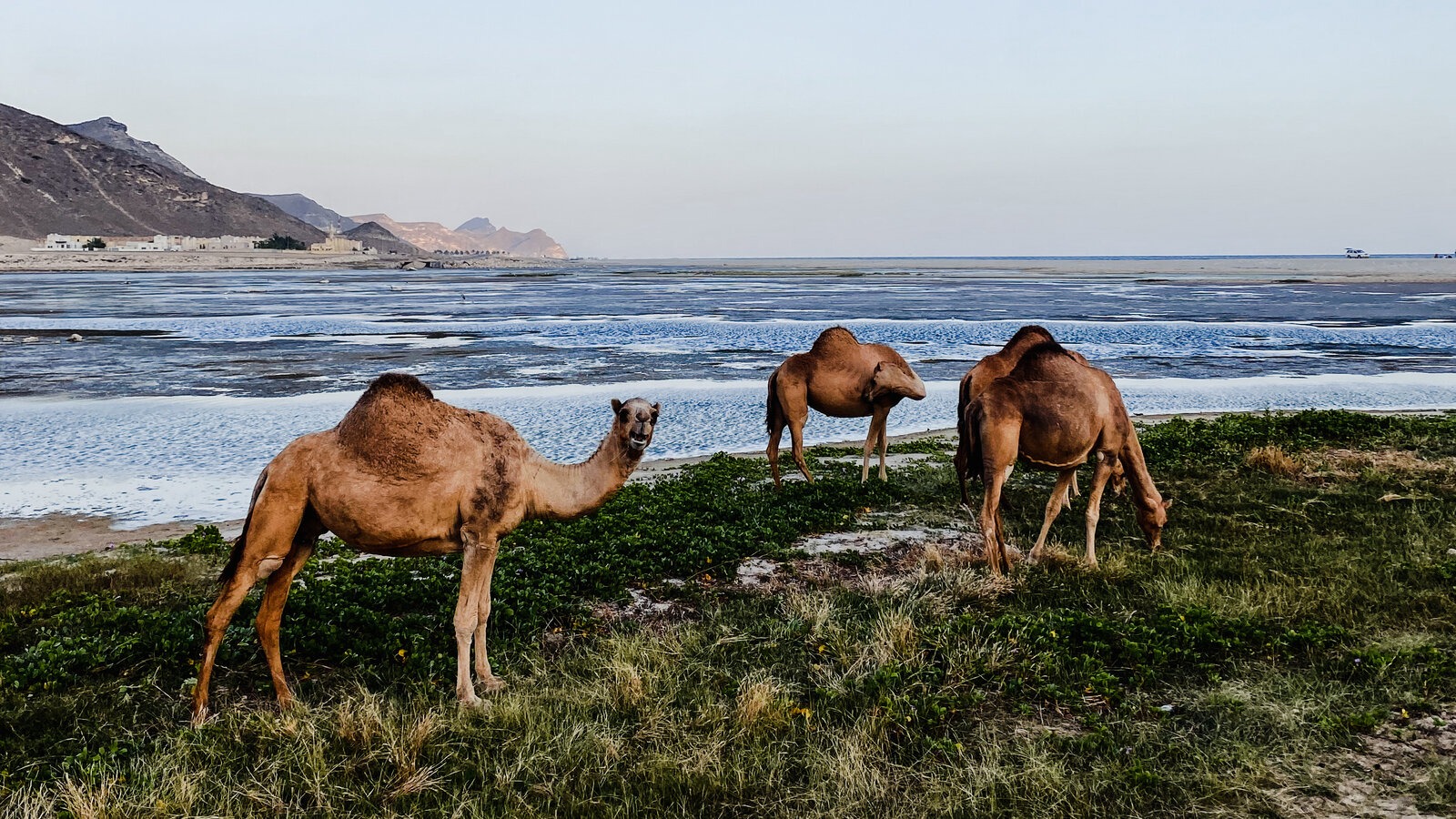 Coastline Of Oman Wallpapers