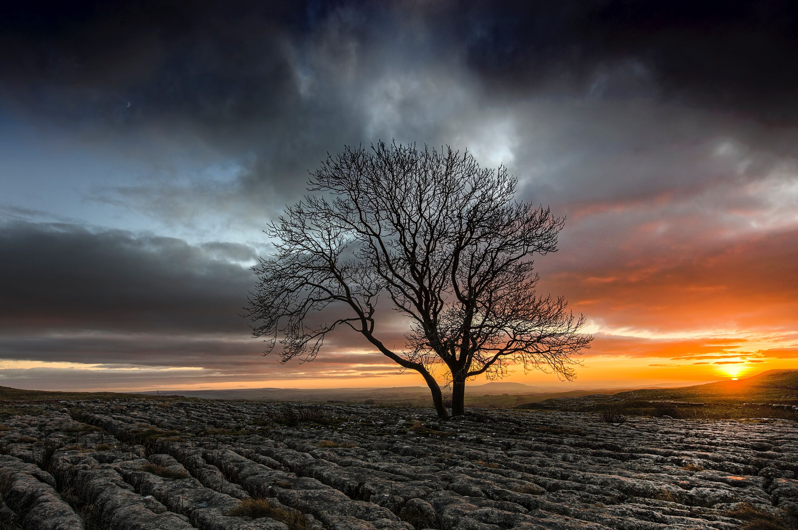 Colorful Sunset At Lonely Field Wallpapers