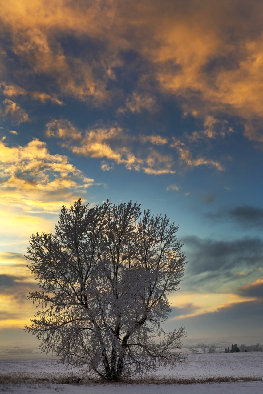 Colorful Sunset At Lonely Field Wallpapers