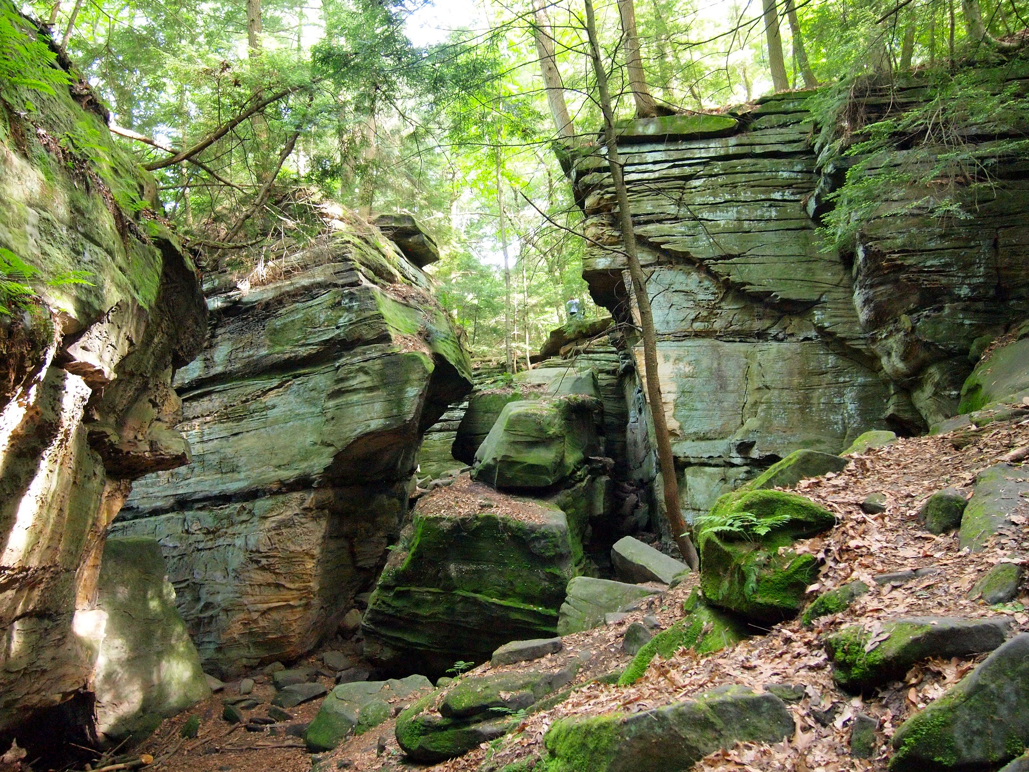 Cuyahoga Valley National Park Wallpapers