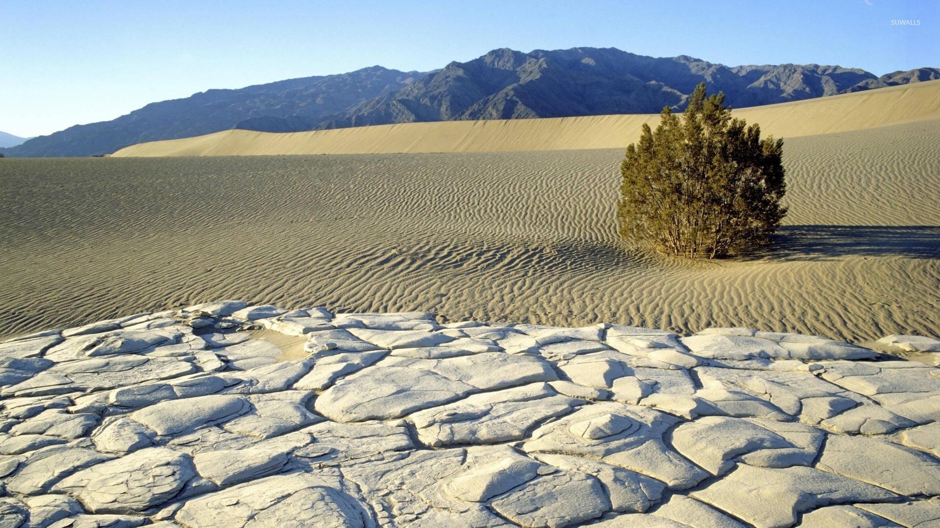 Death Valley National Park Wallpapers