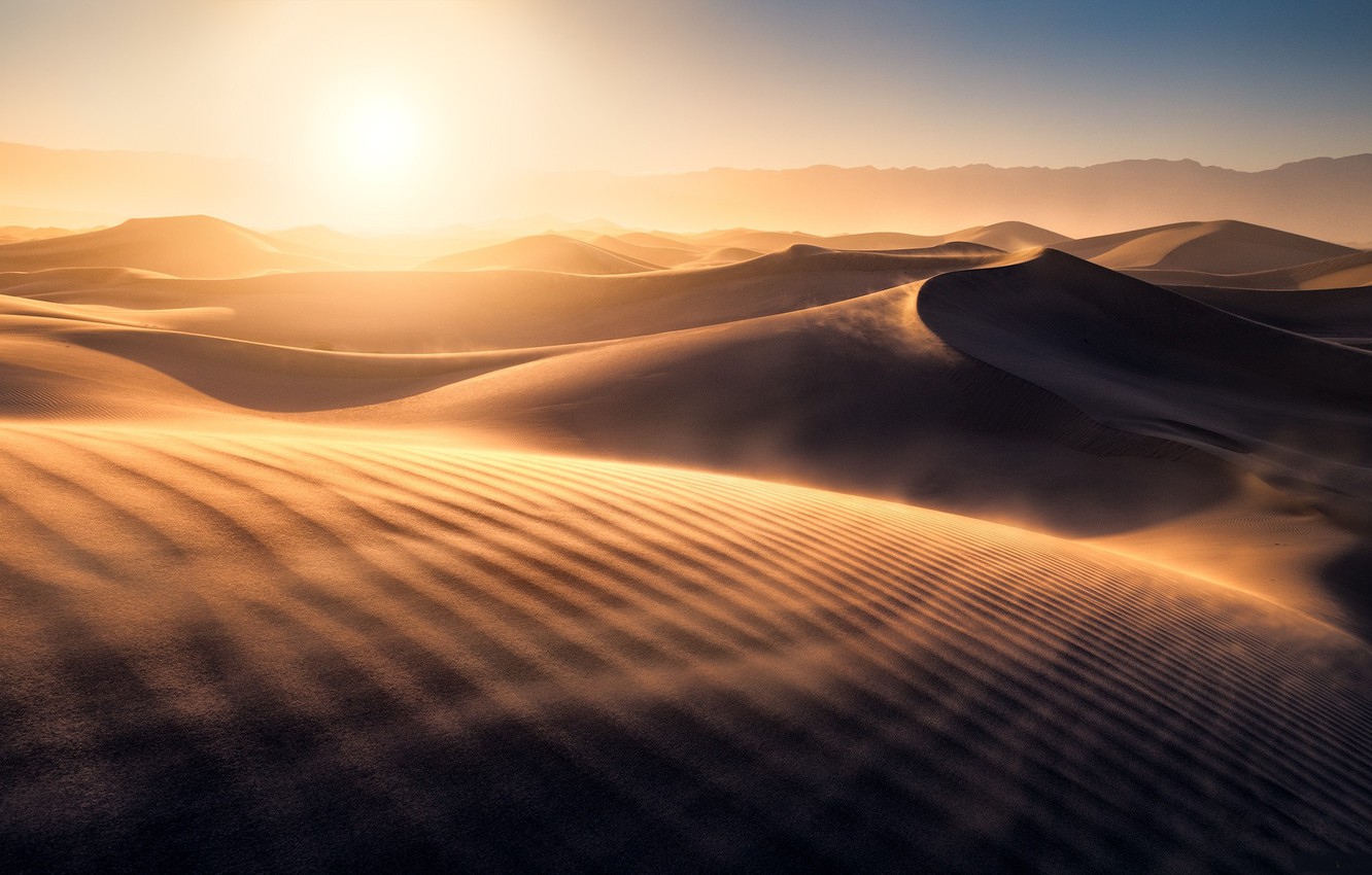 Desert Wallpapers