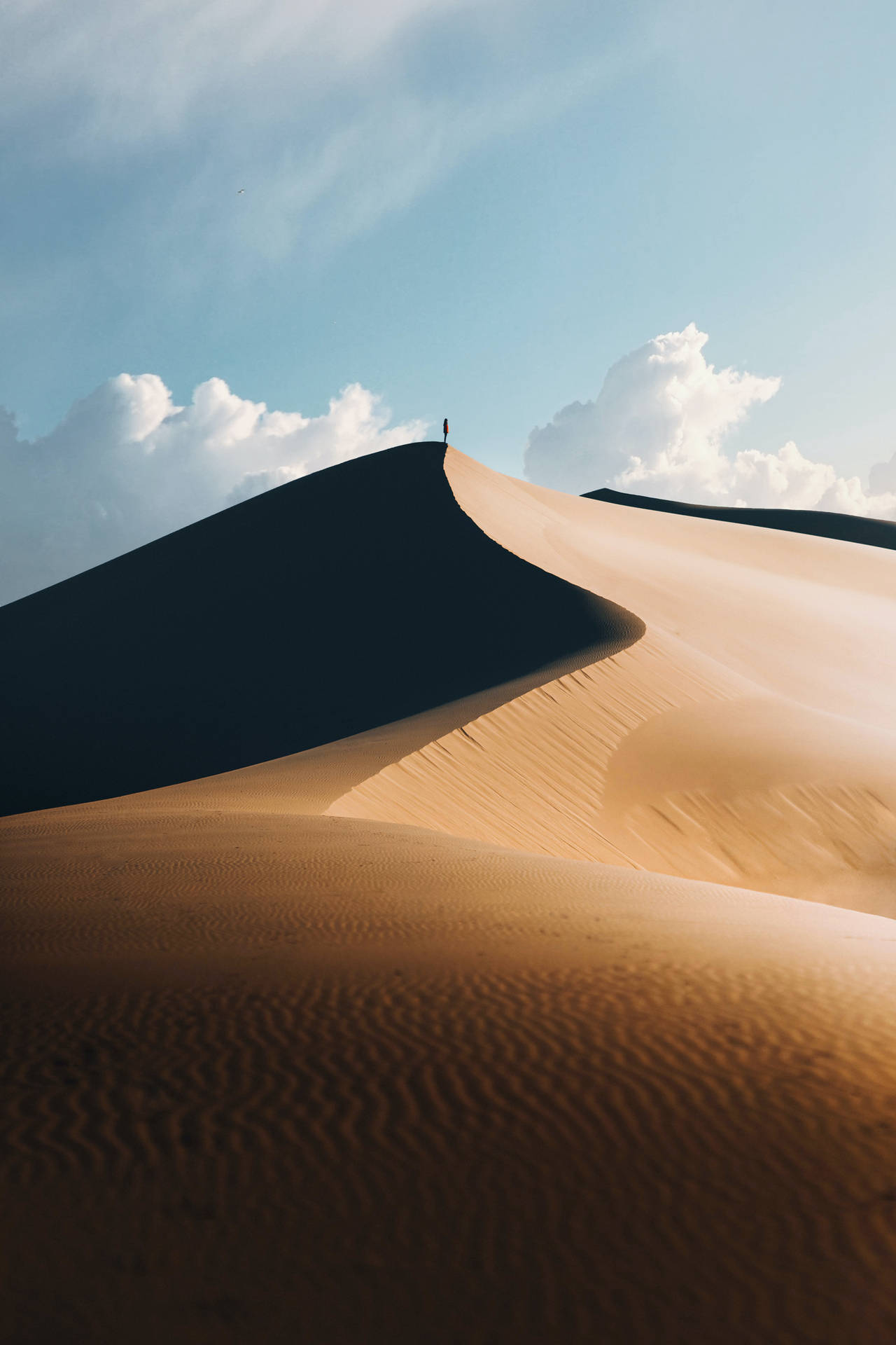 Desert Wallpapers