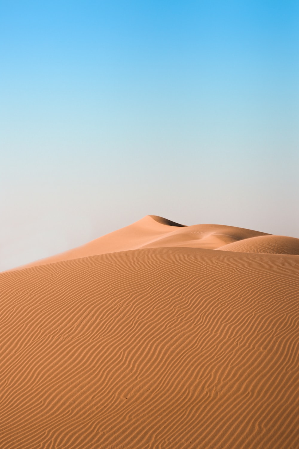 Desert Wallpapers