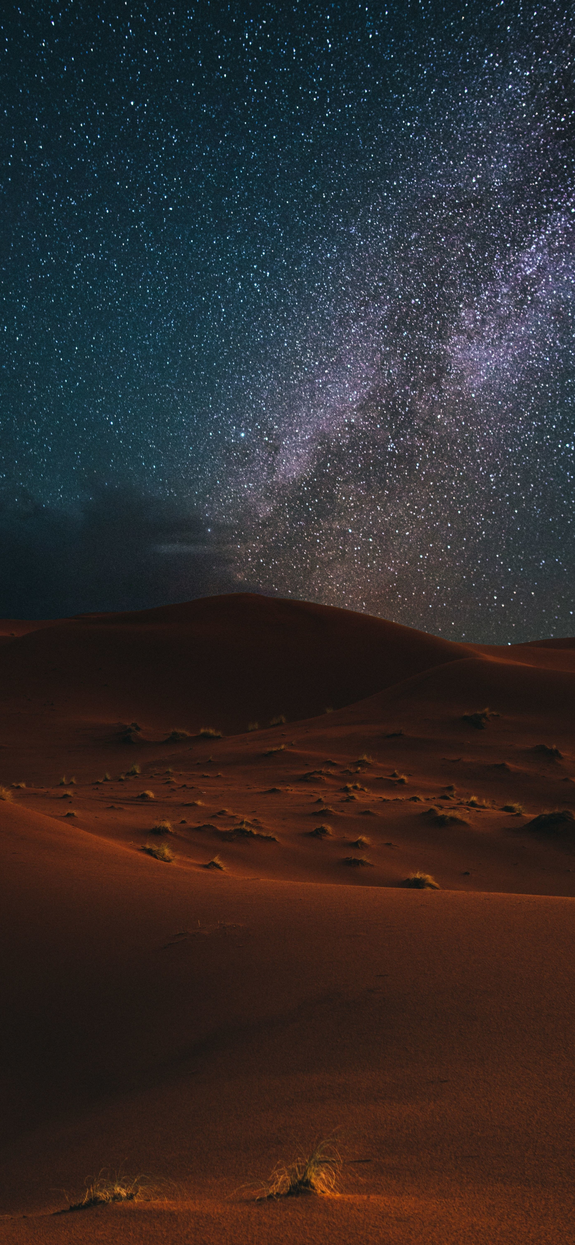 Desert Starry Night Wallpapers