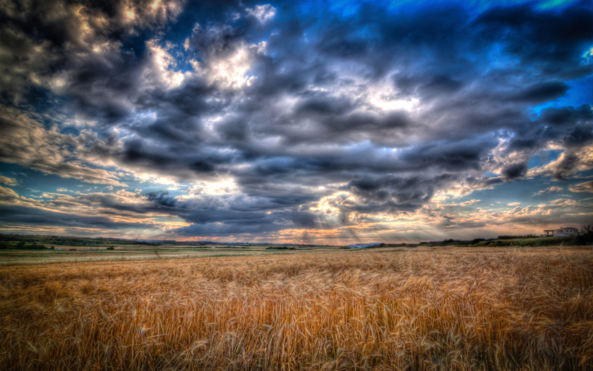 Dramatic Field Under Dark Clouds Wallpapers