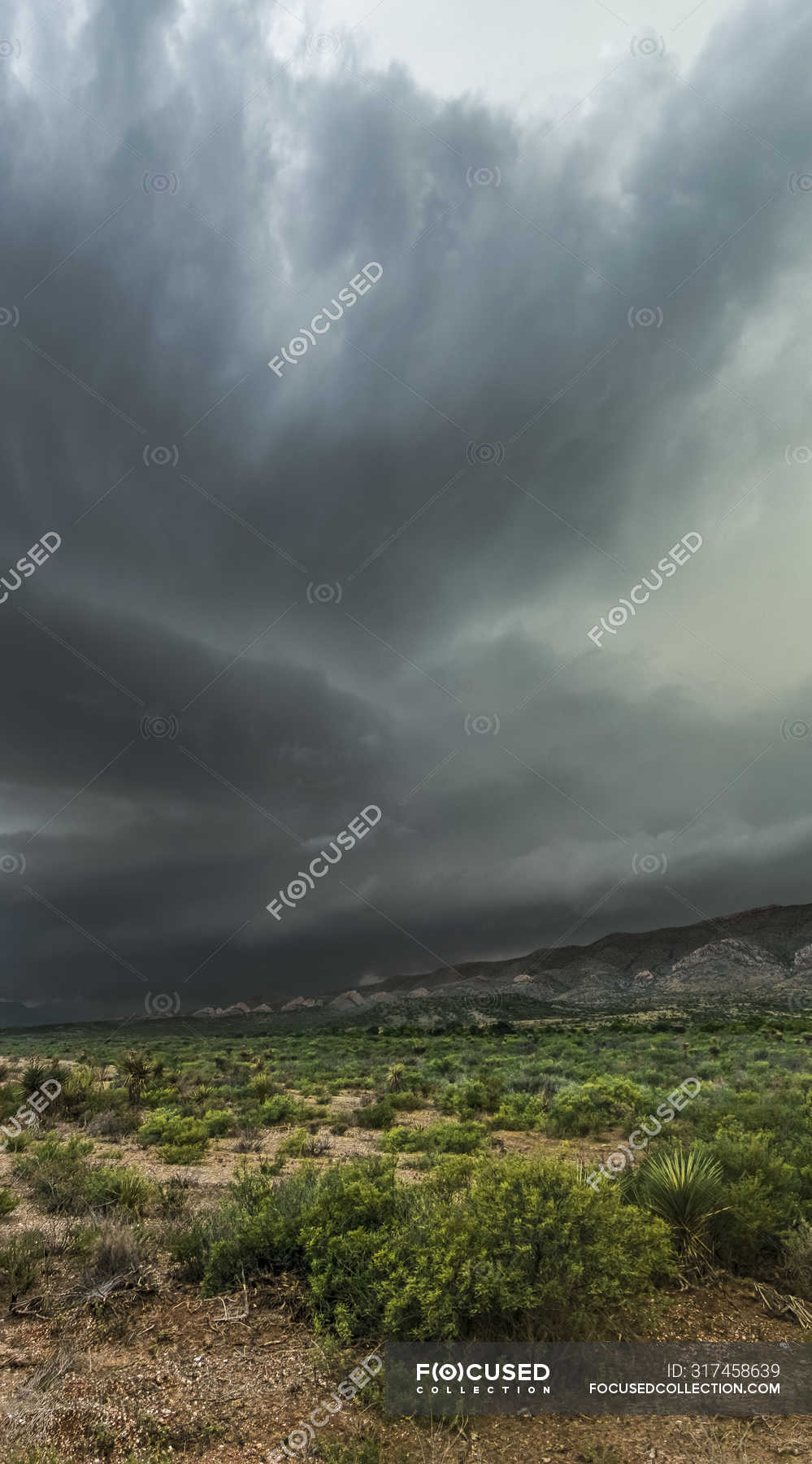 Dramatic Field Under Dark Clouds Wallpapers