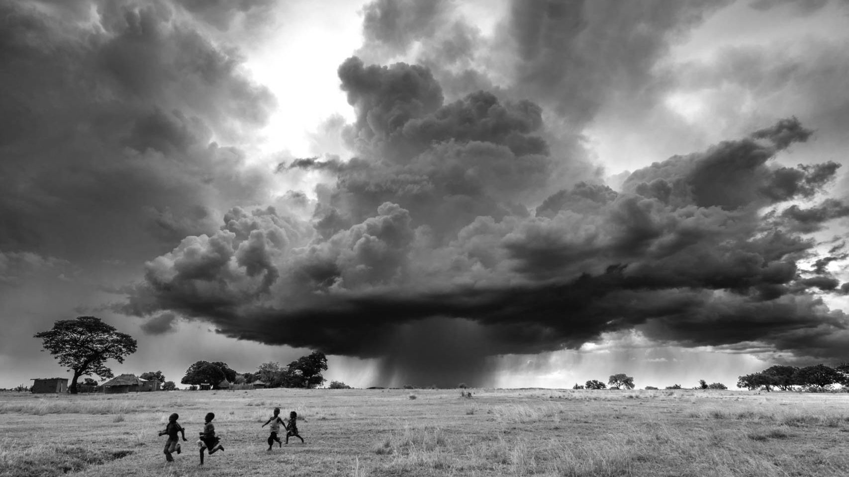 Dramatic Field Under Dark Clouds Wallpapers